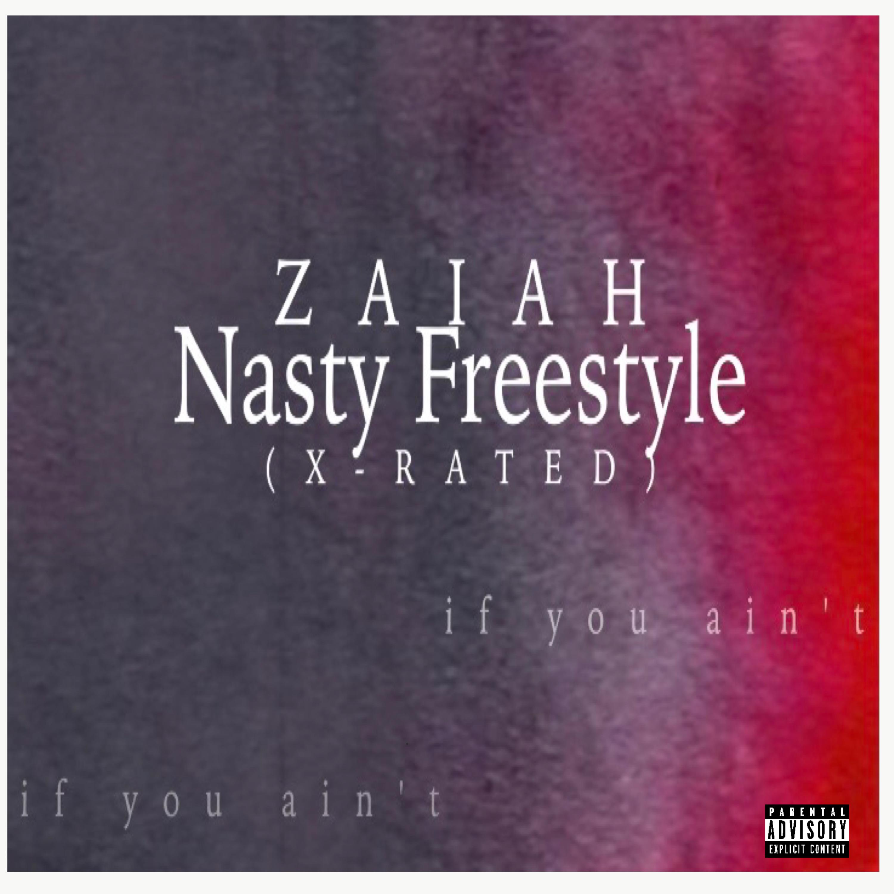 Nasty Freestyle artwork