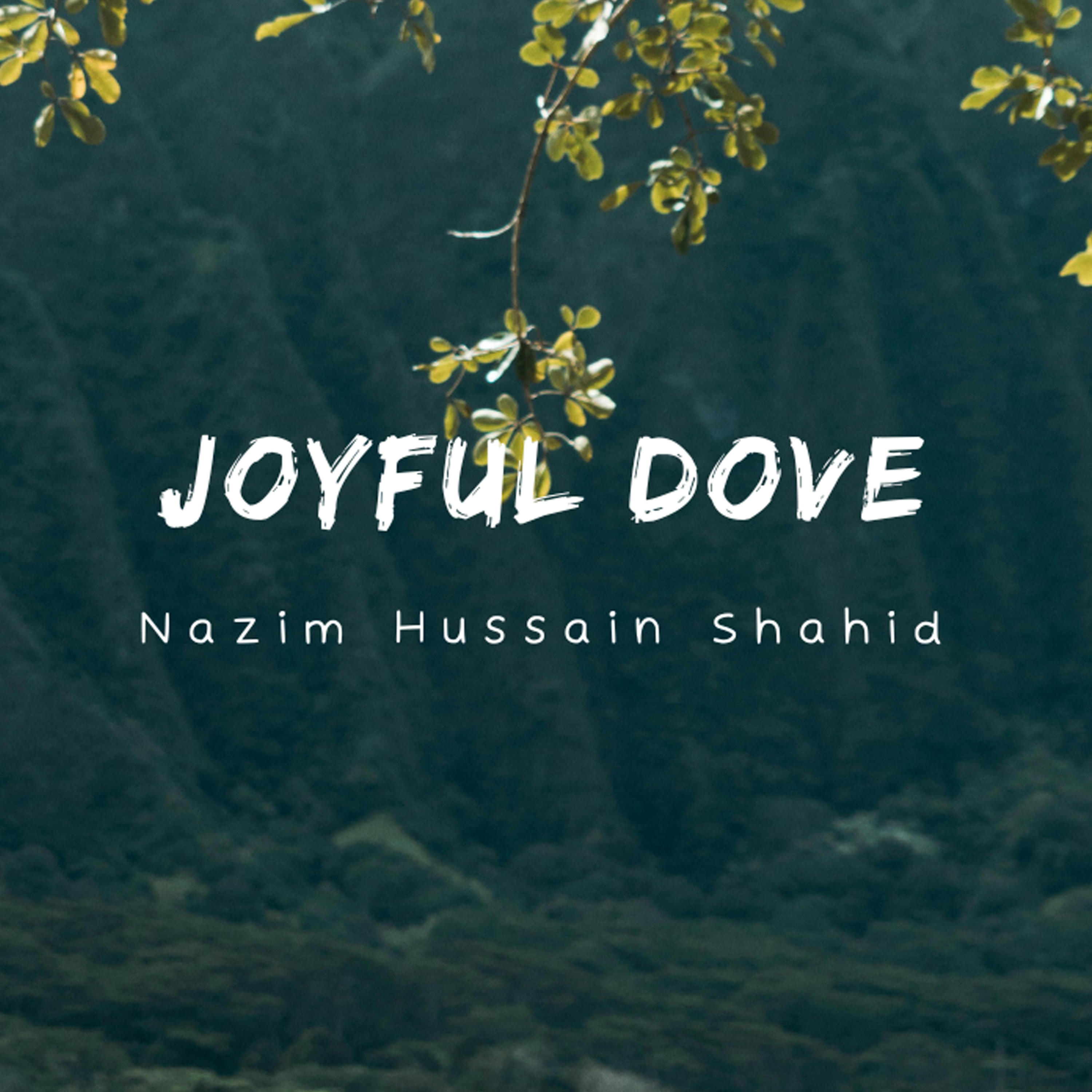 Joyful Dove Dance Background Music artwork