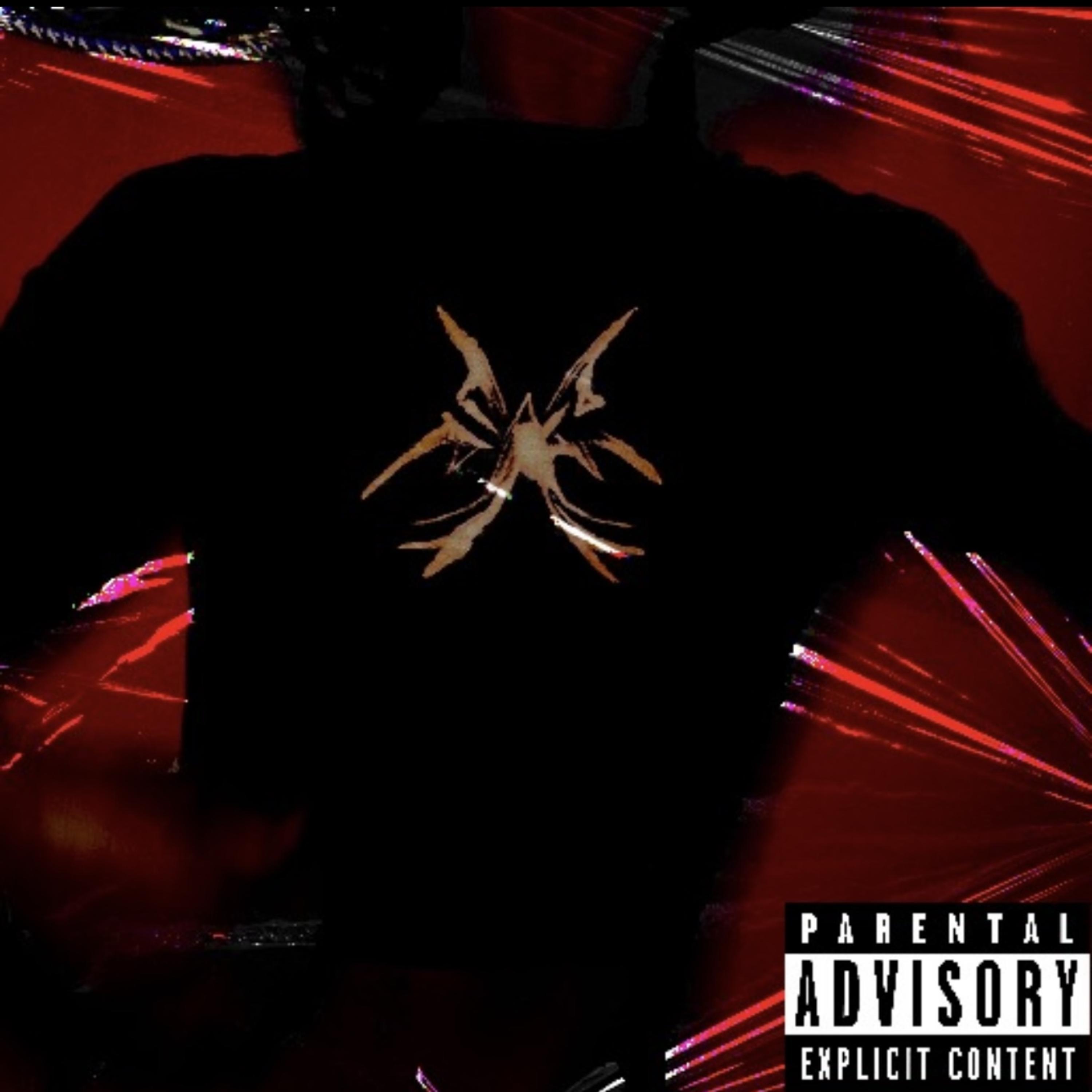 ZoNe artwork