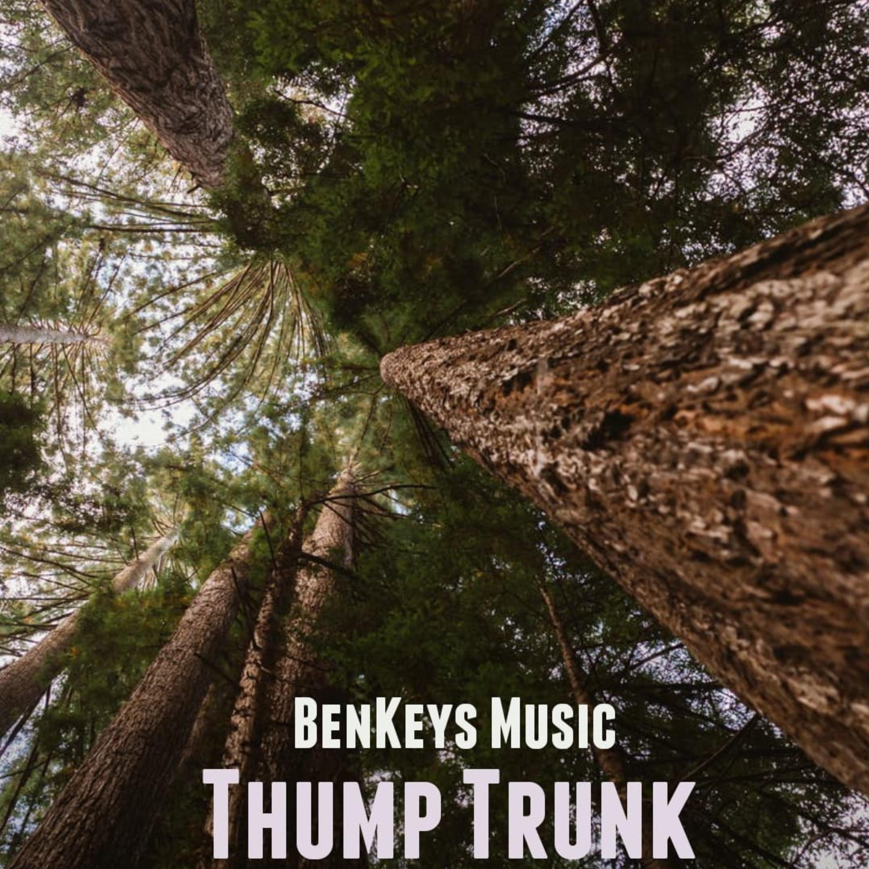 Thump Trunk artwork