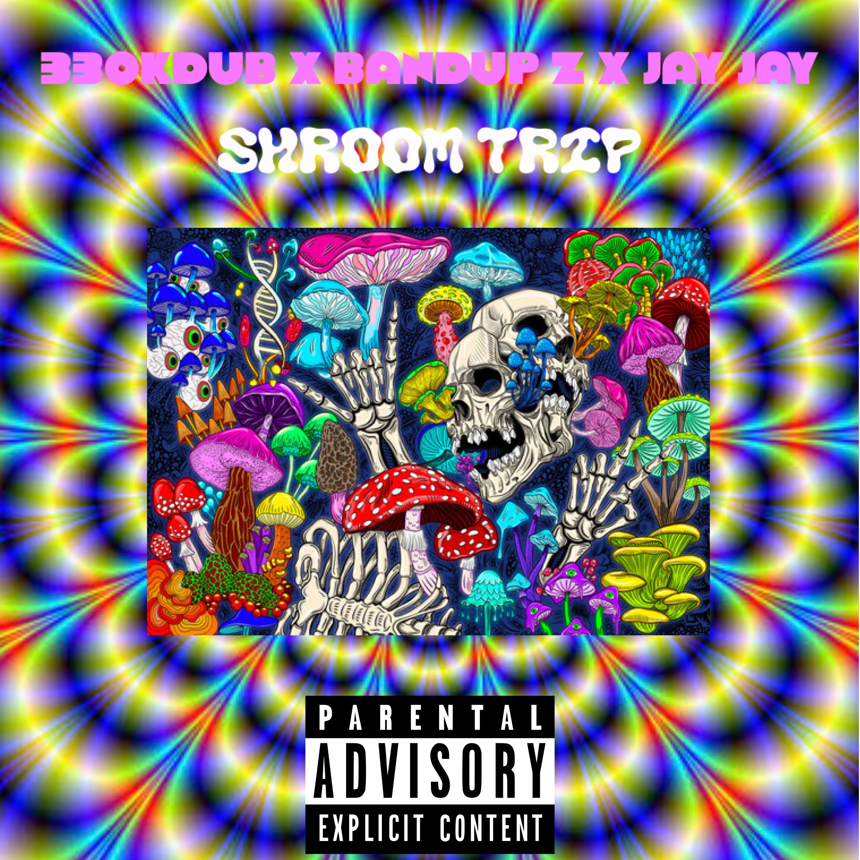 SHROOM TRIP artwork
