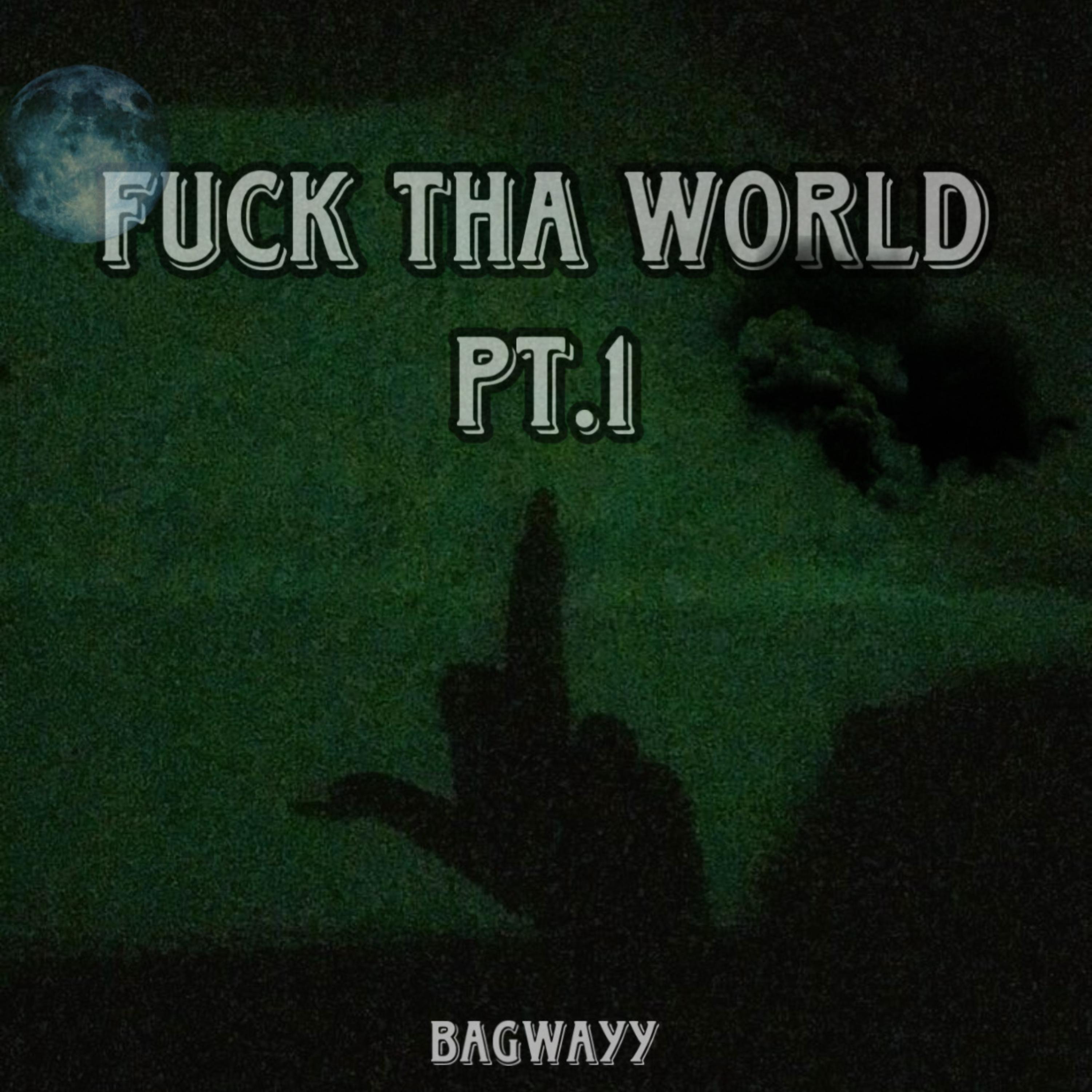 Fuck Tha World Pt.1 artwork