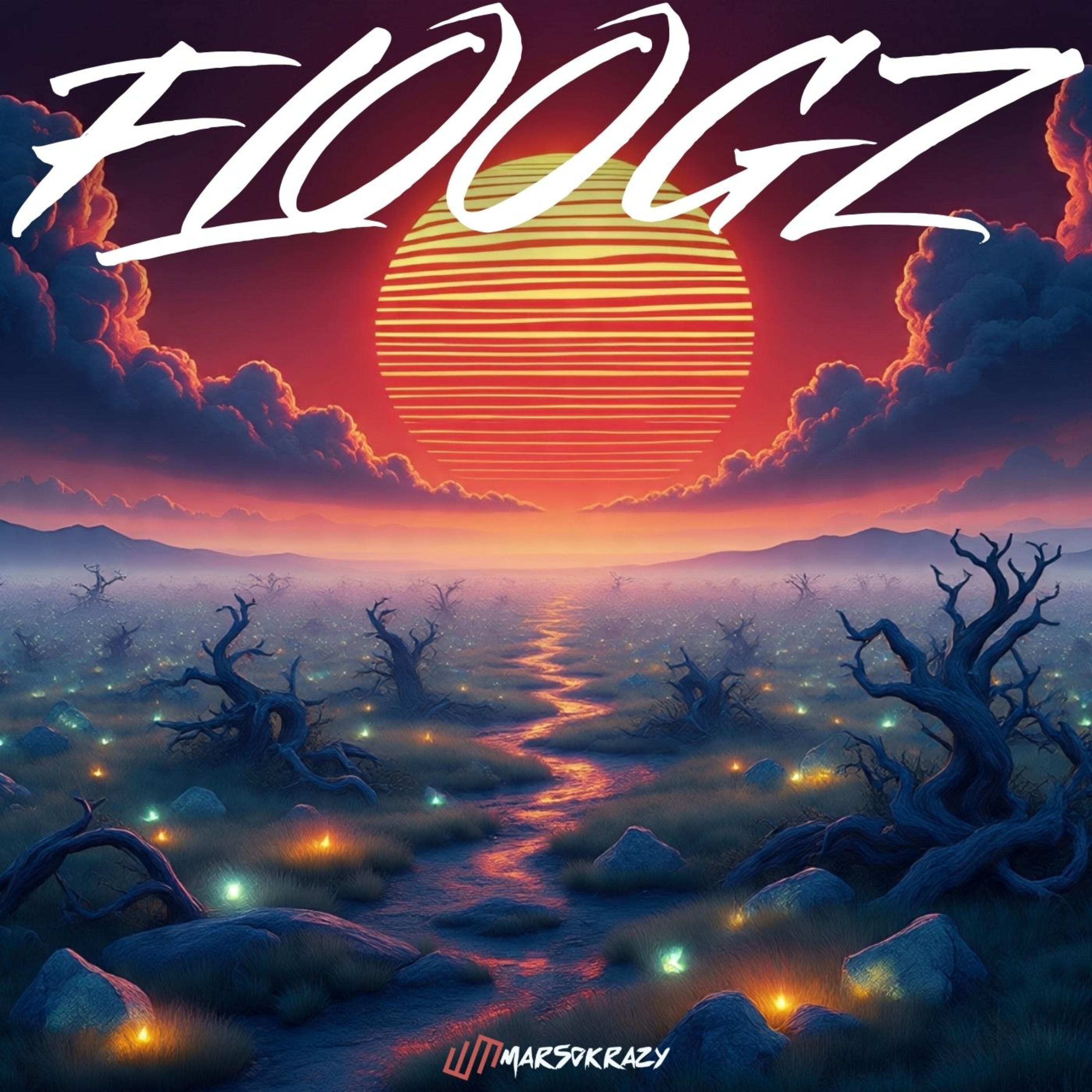 FLOOGZ artwork