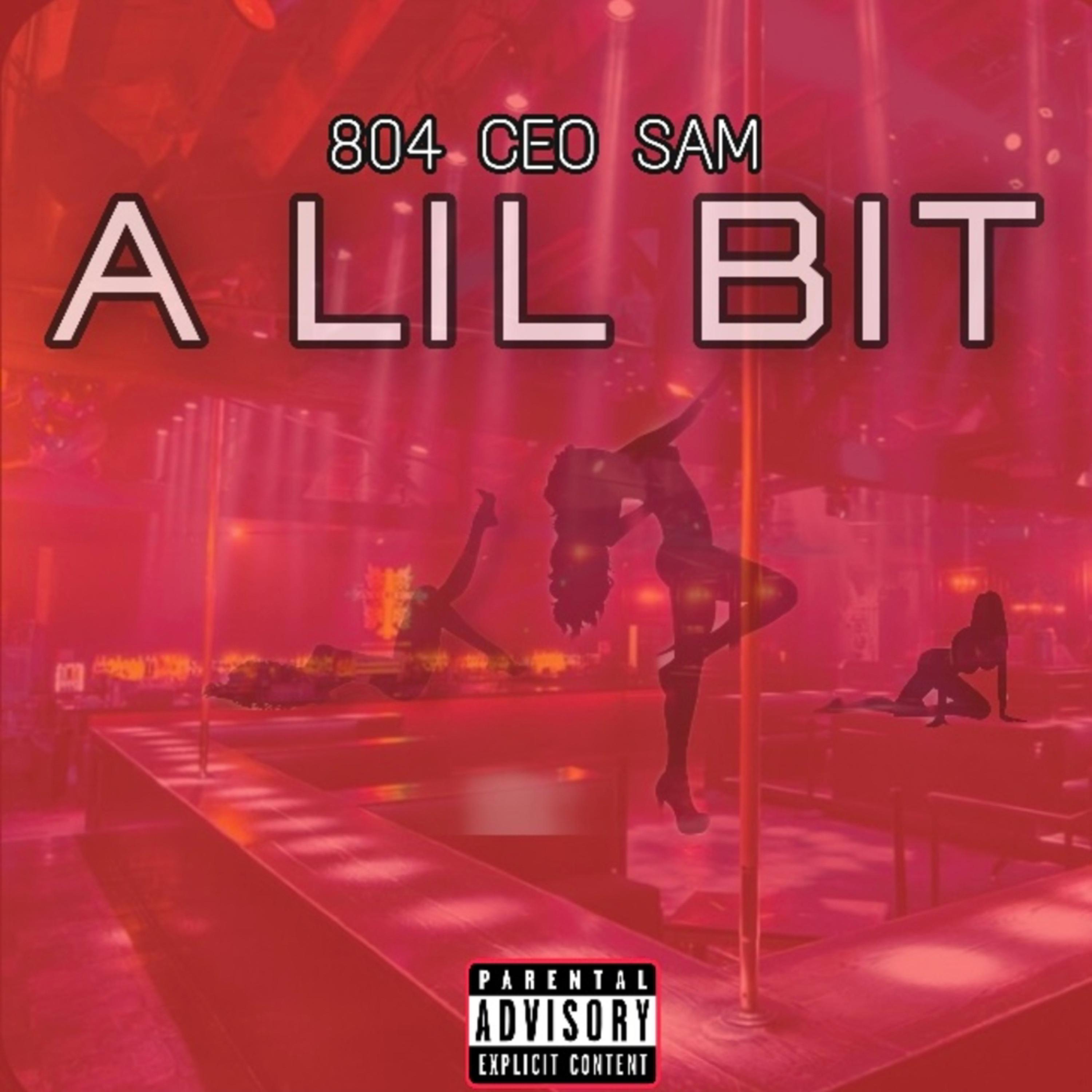 A Lil Bit by CEO Sam cover art