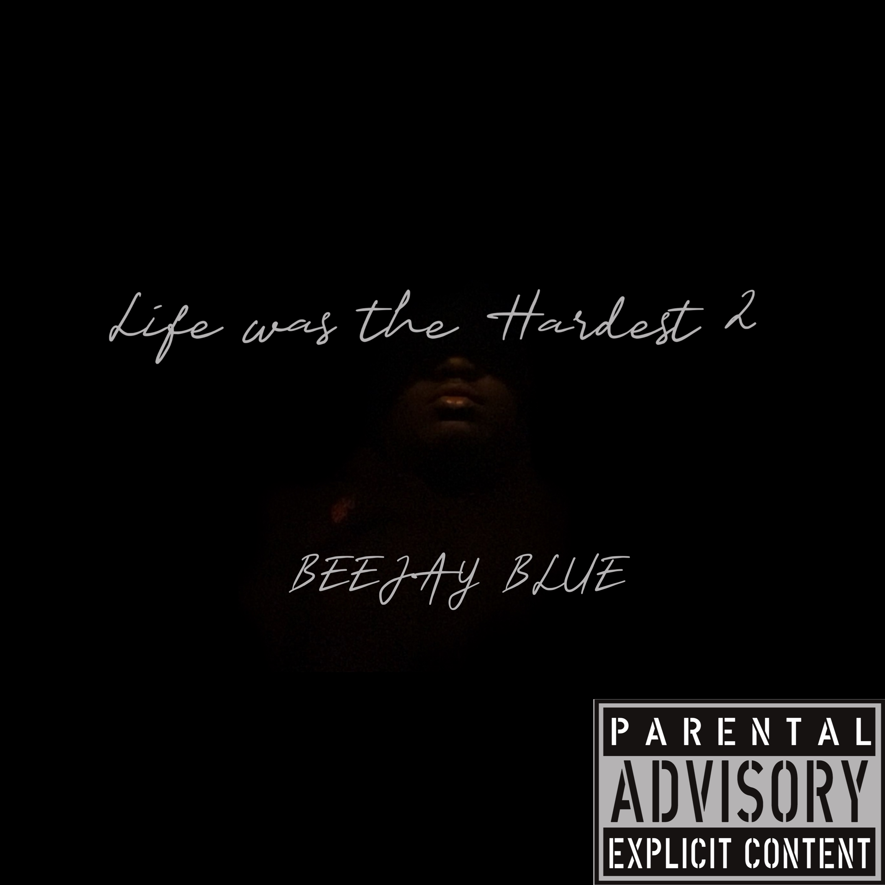 Life Was The Hardest 2 artwork