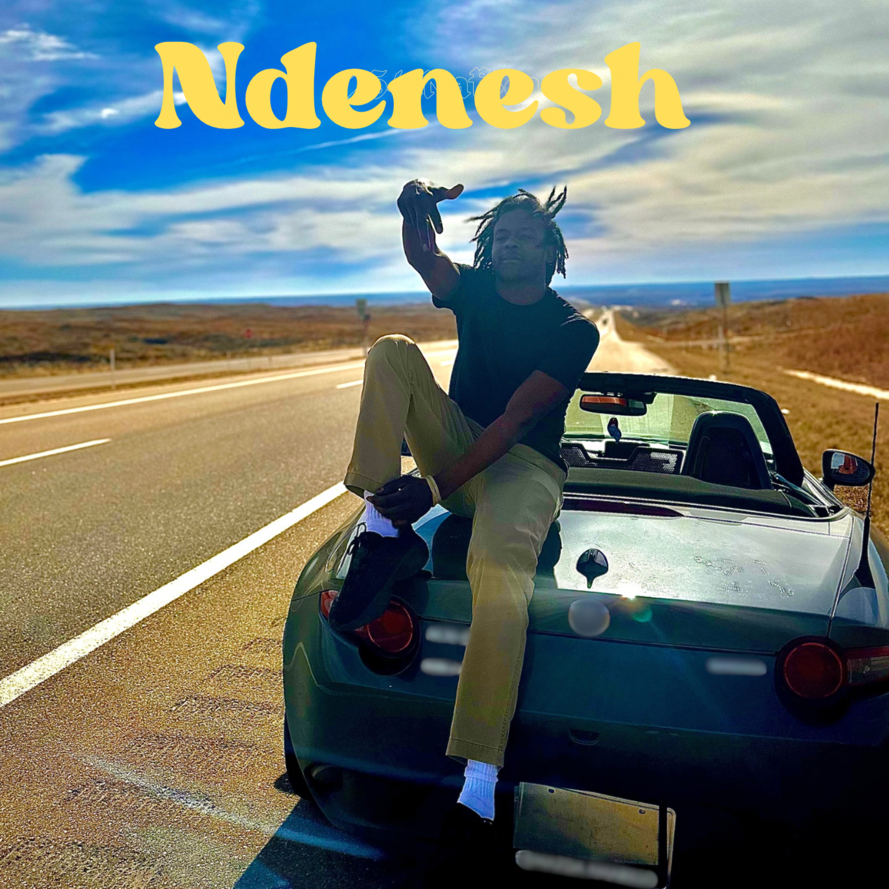 Ndenesh artwork