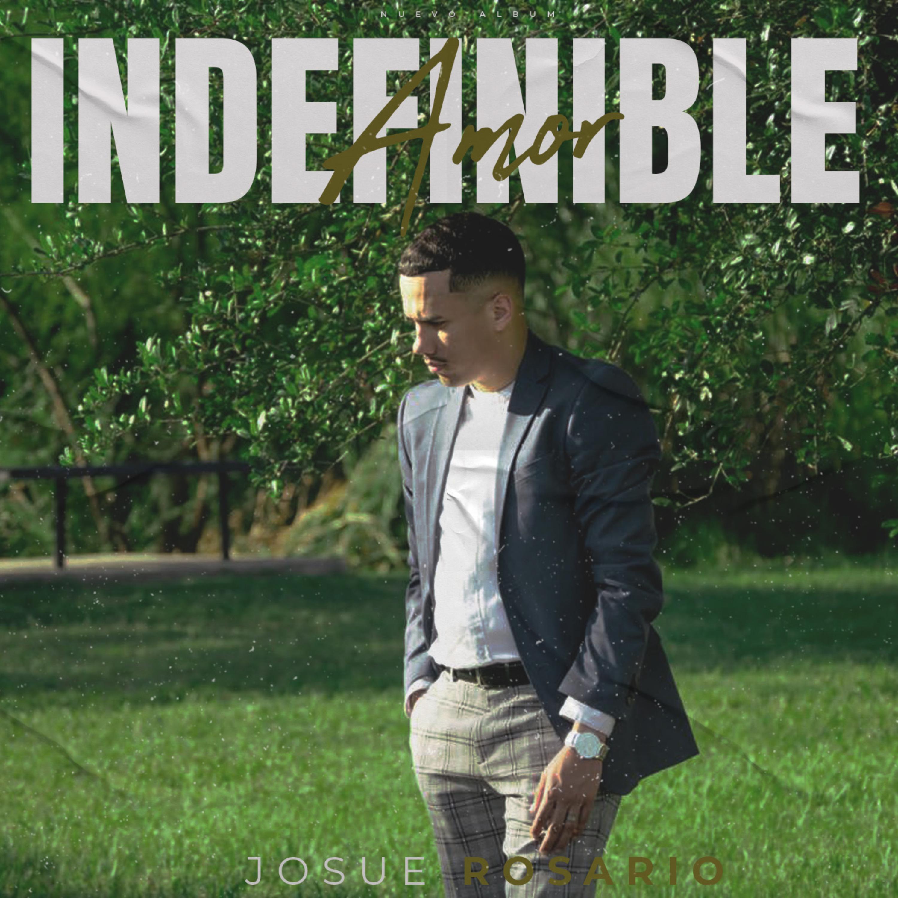 Indefinible Amor artwork