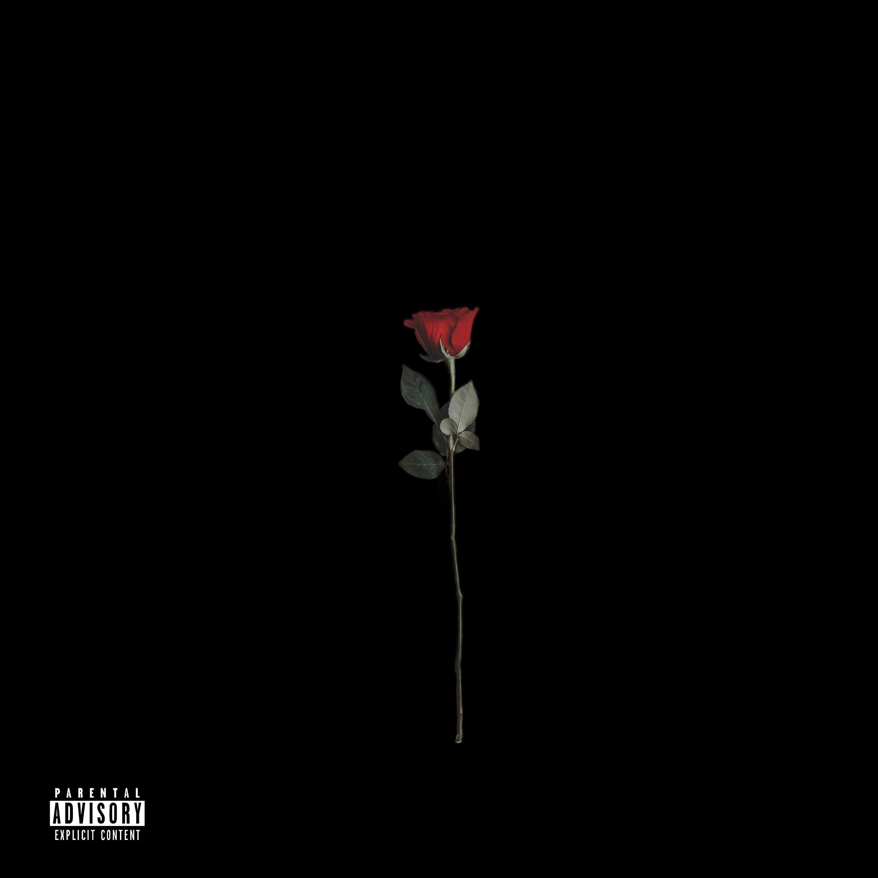 Obsessed with you (Freestyle) artwork