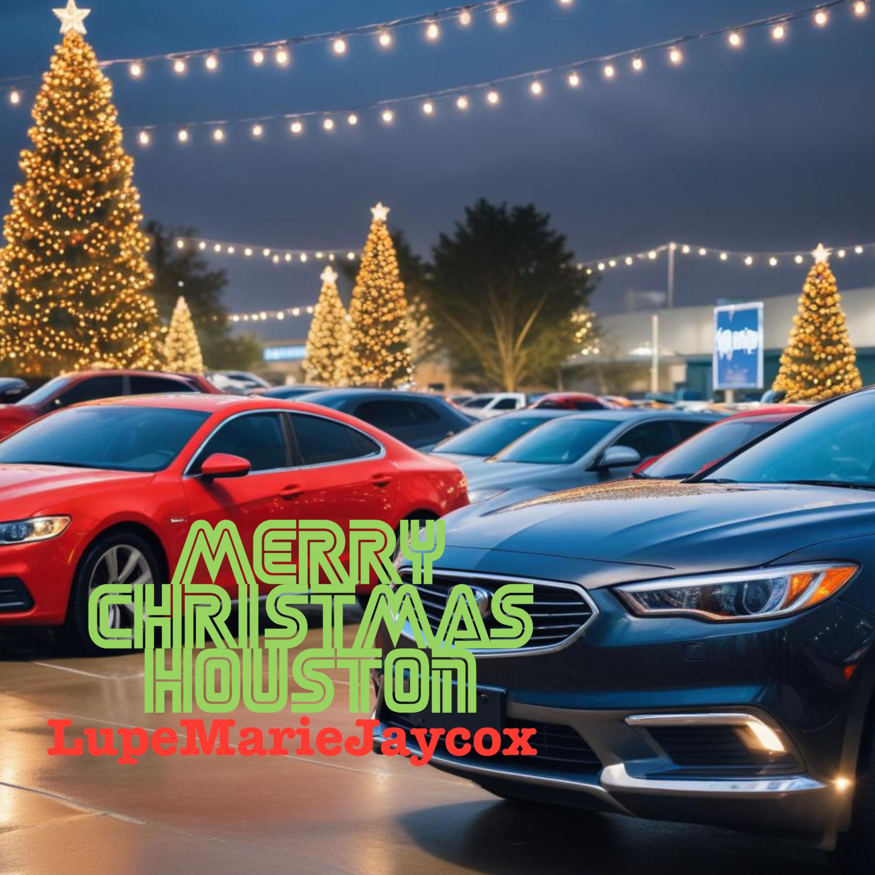 Merry Christmas Houston artwork