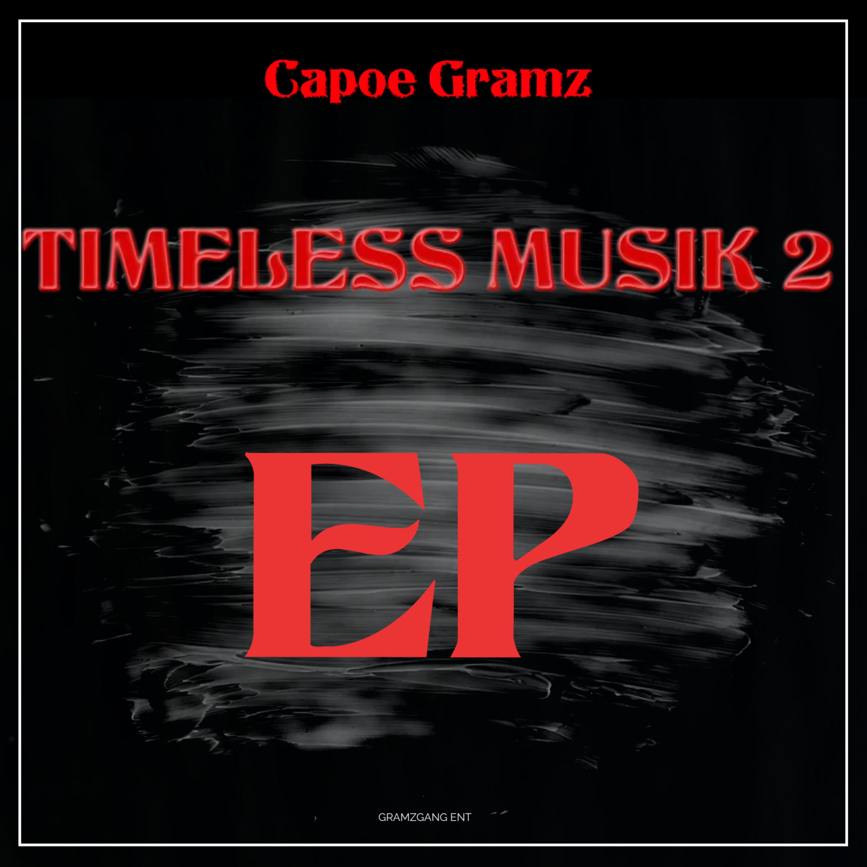 TIMELESS MUSIK 2  artwork