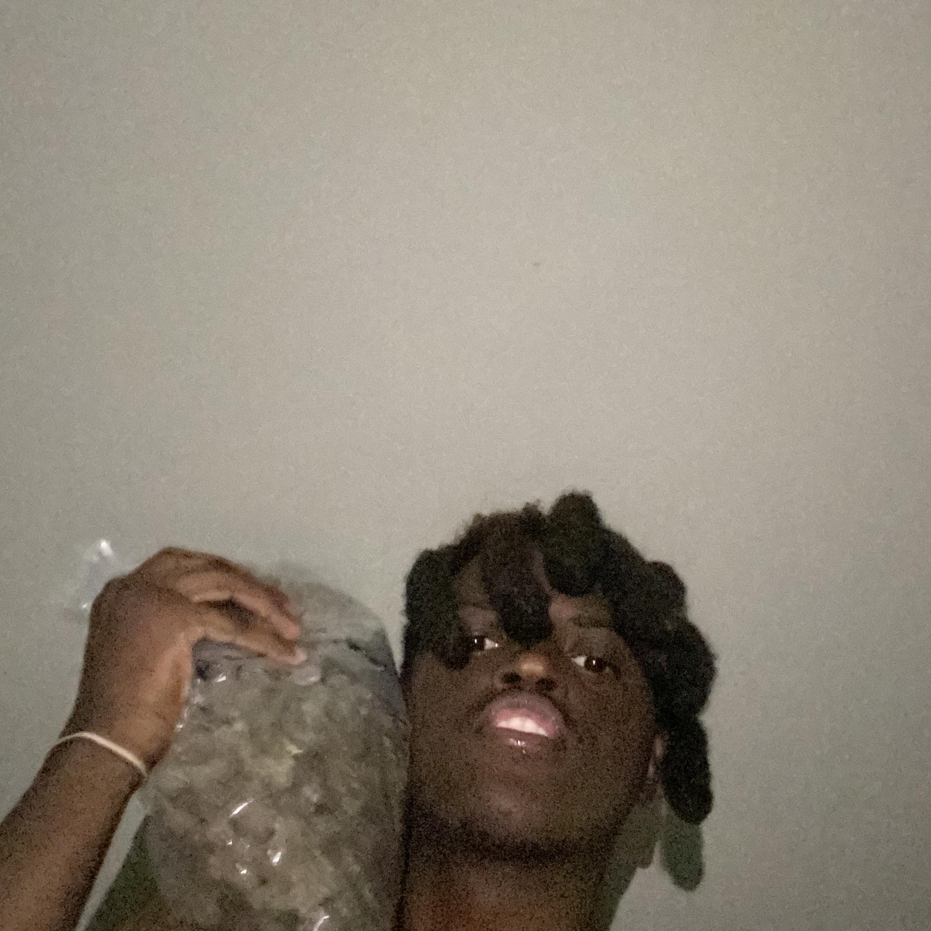 IDFW artwork