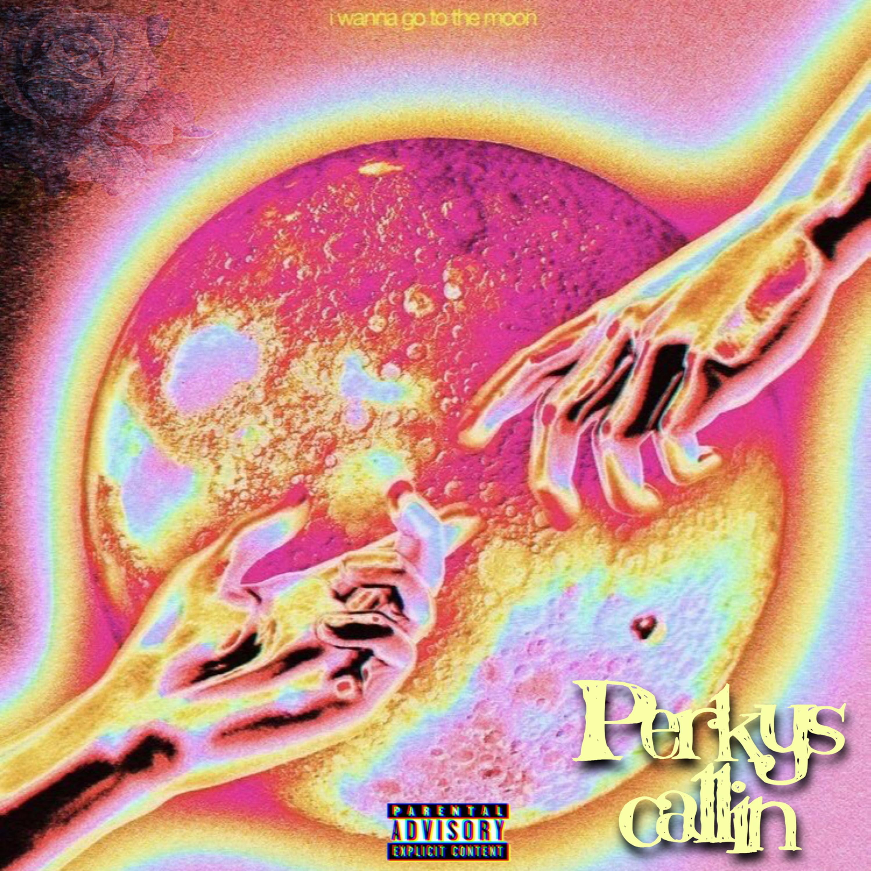 Perkys Callin artwork