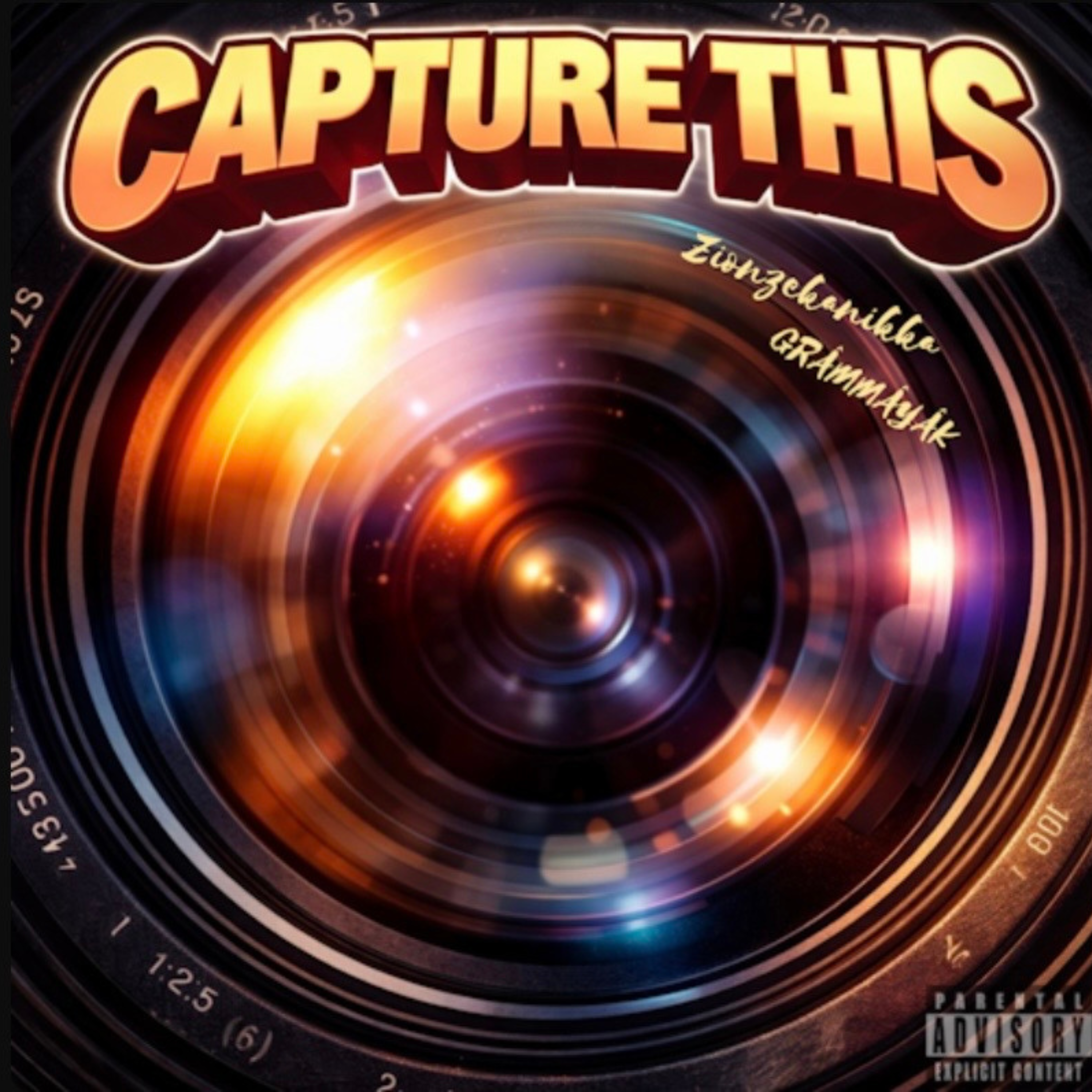 Capture This artwork