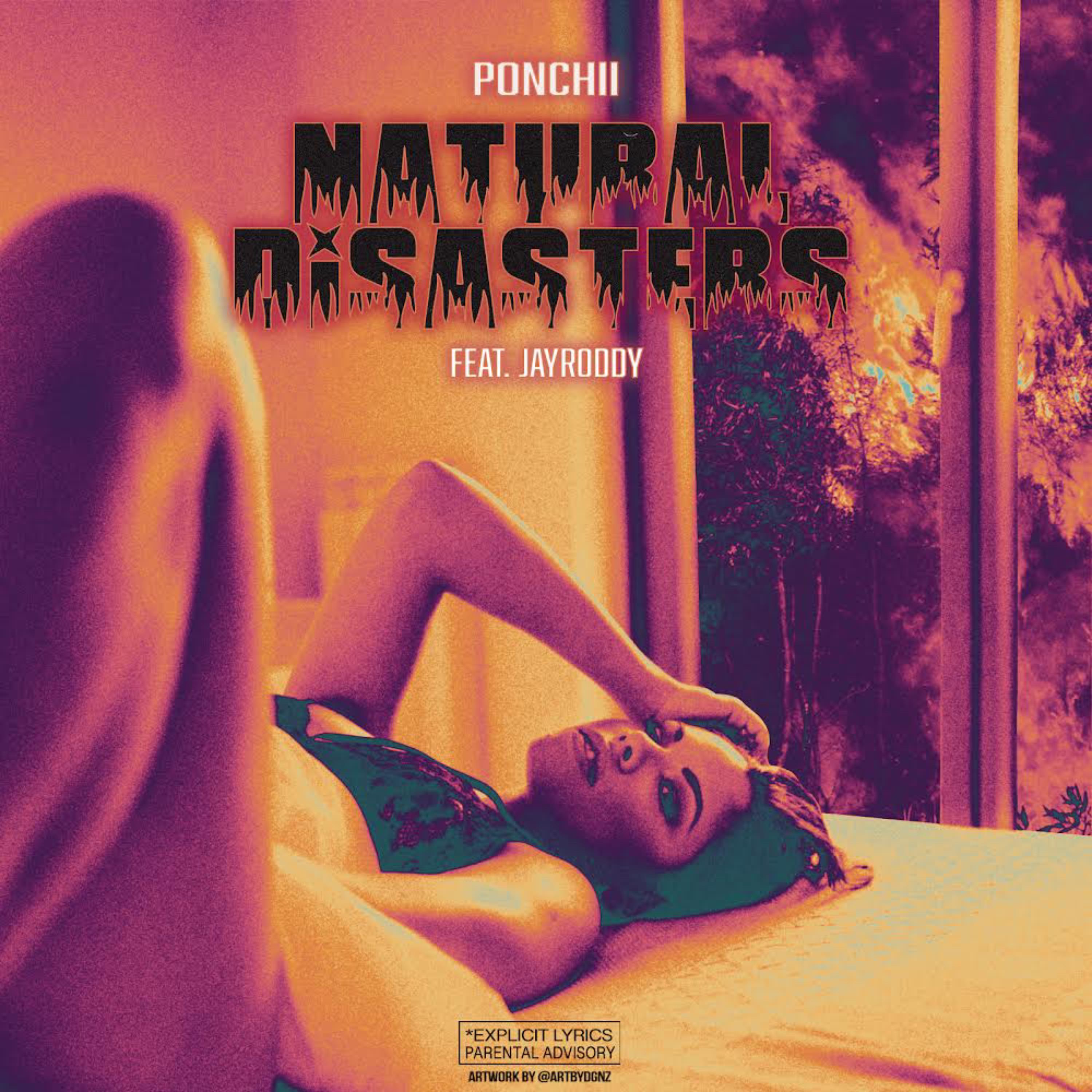 Natural Disasters artwork
