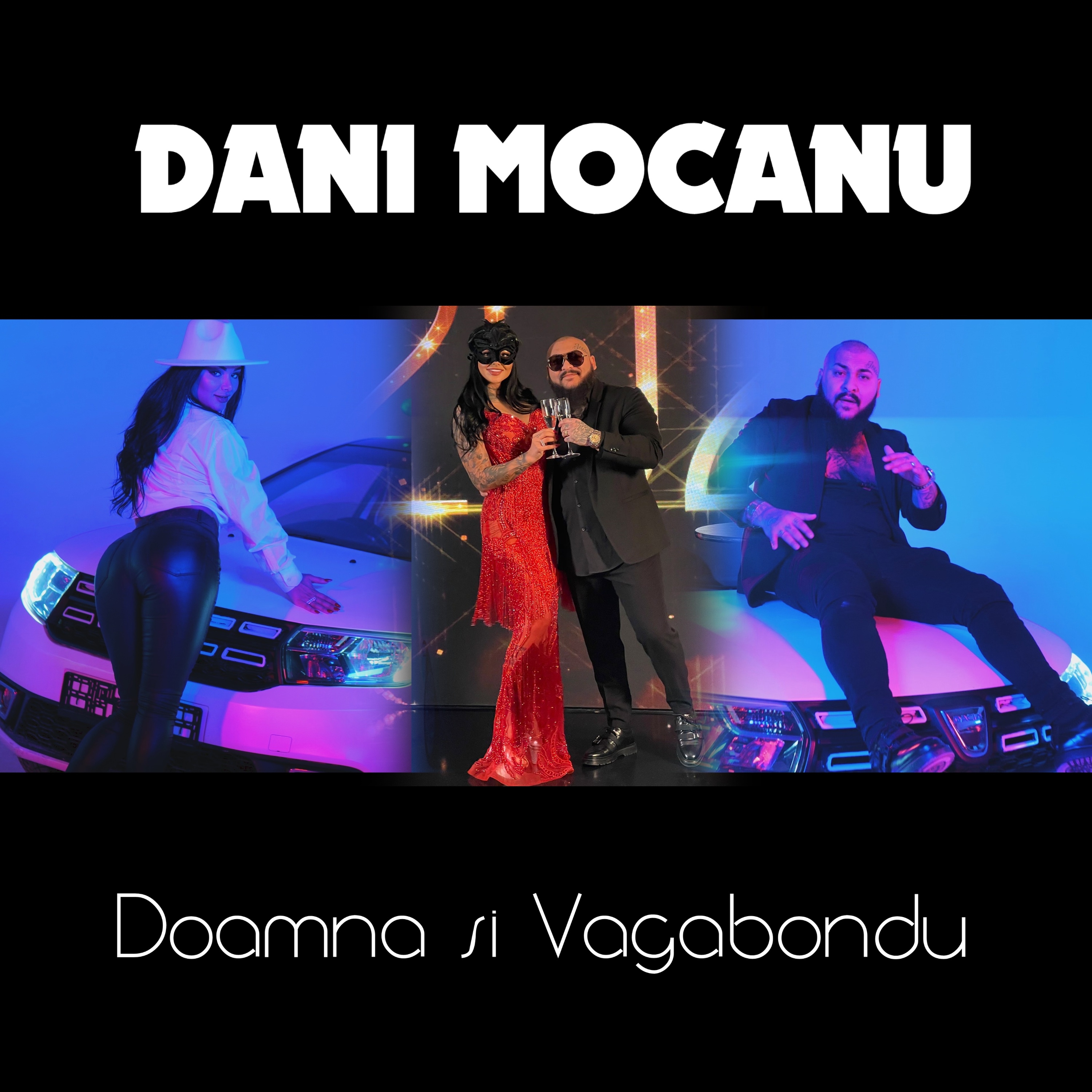 Doamna si Vagabondu artwork