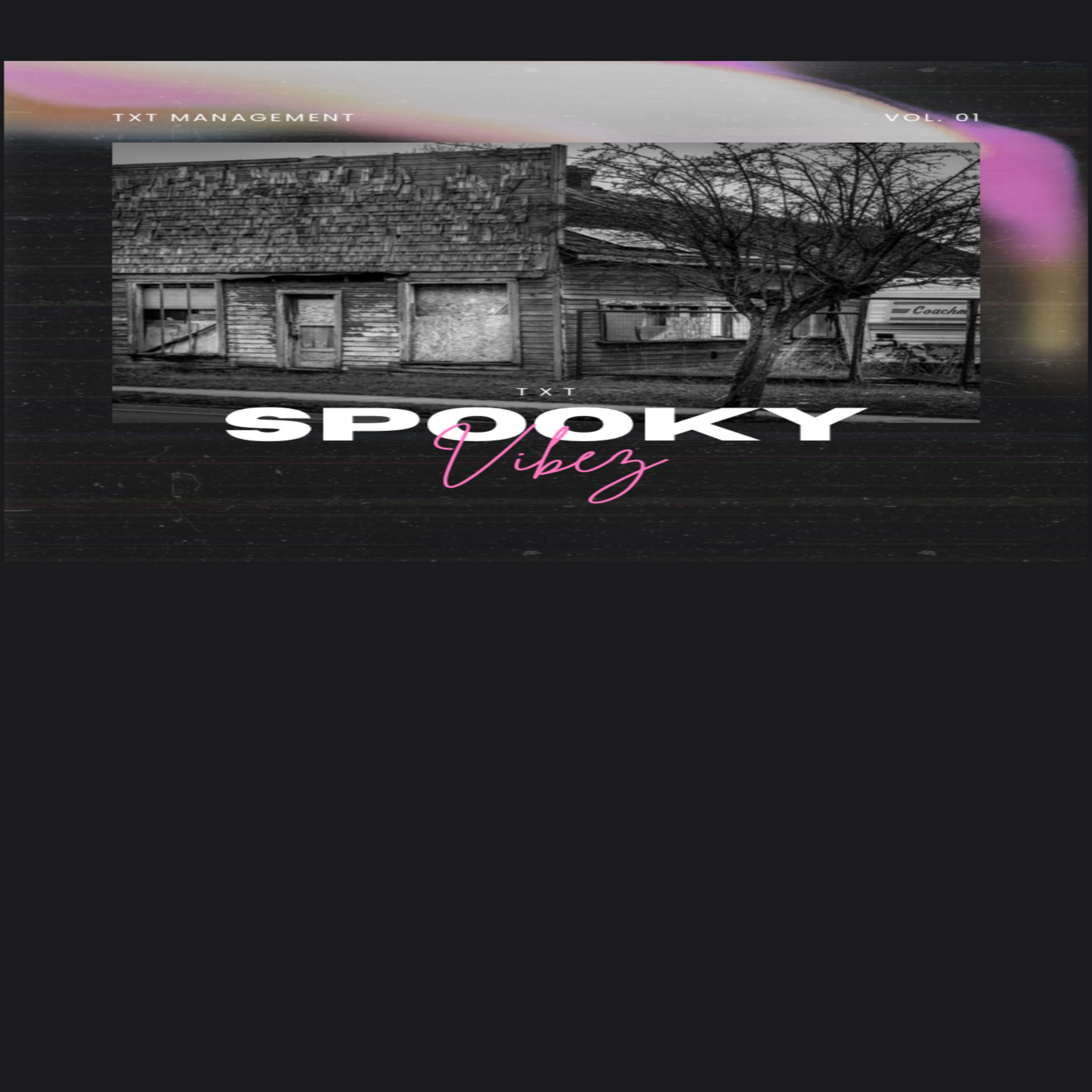 SPOOKY VIBEZ artwork