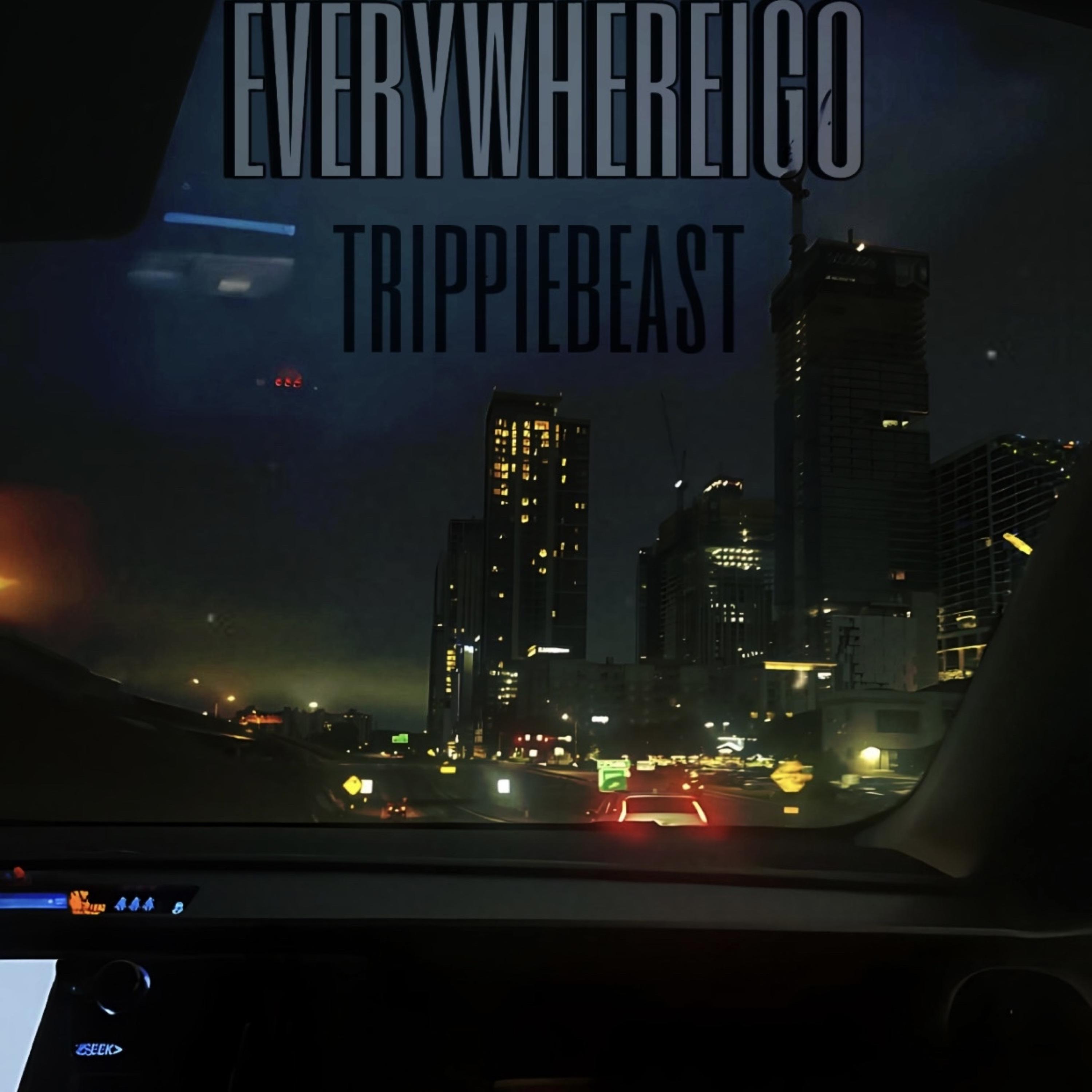 TRUST ISSUES: everywhereigo artwork