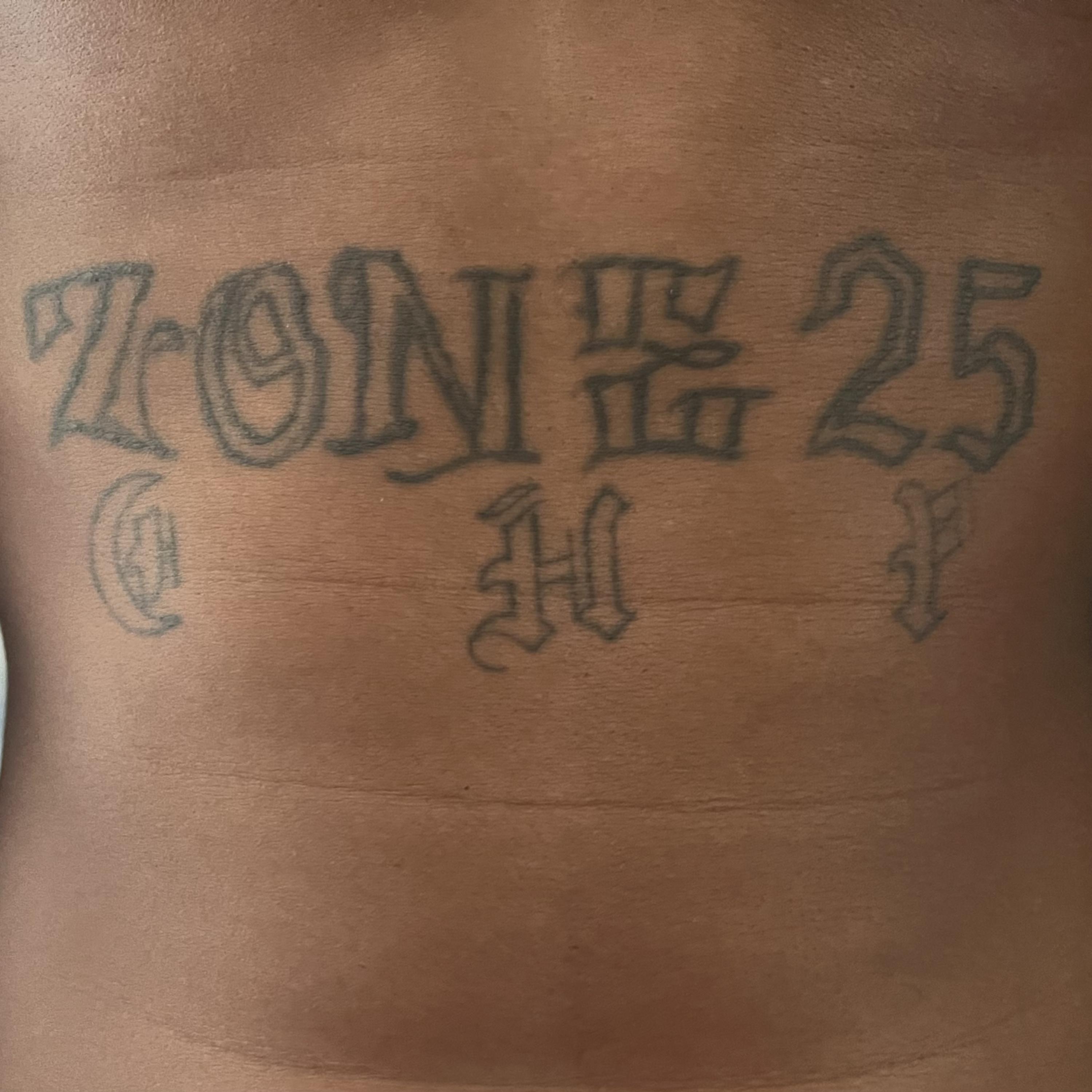 Zone 25 CHP artwork