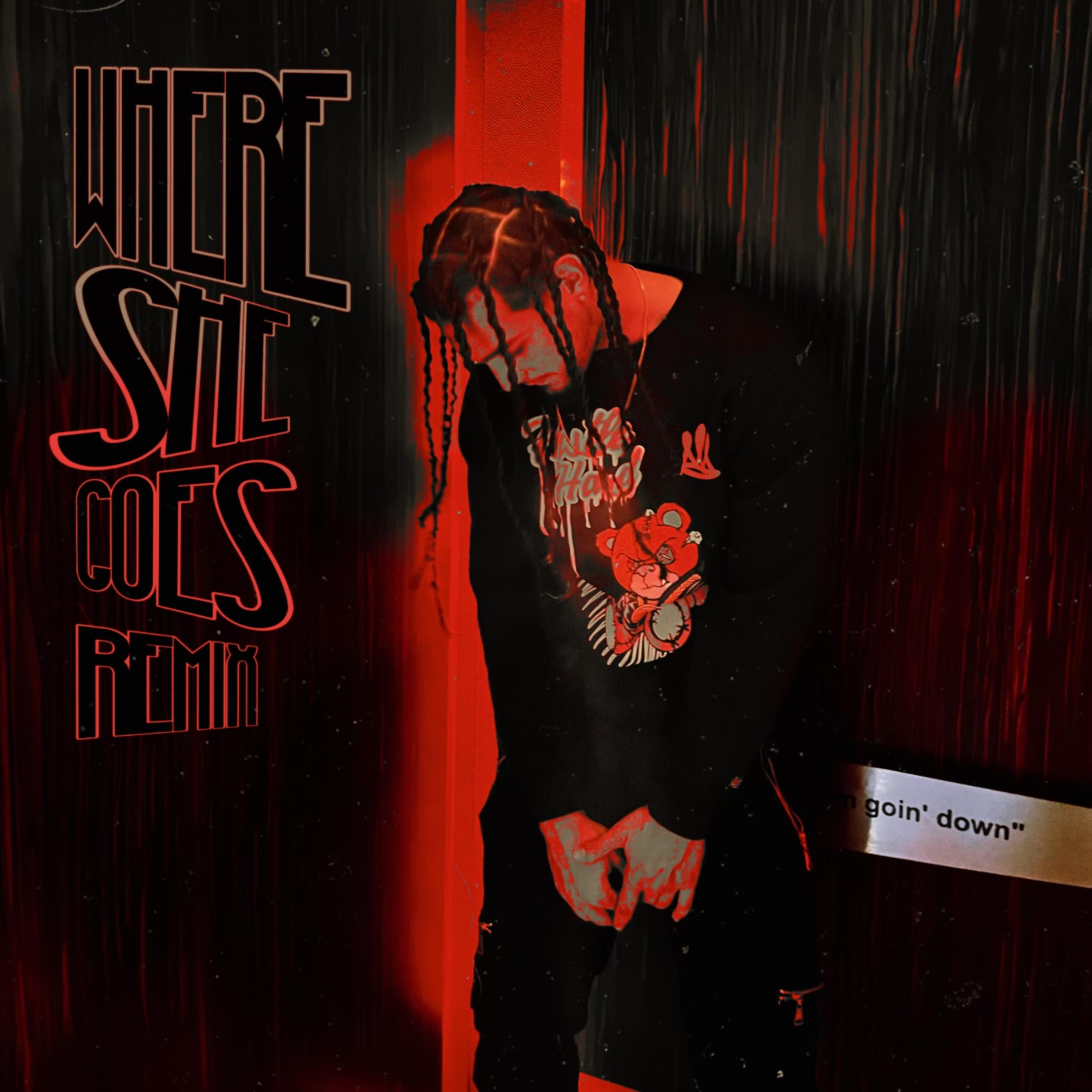 Where She Goes (Remix) artwork
