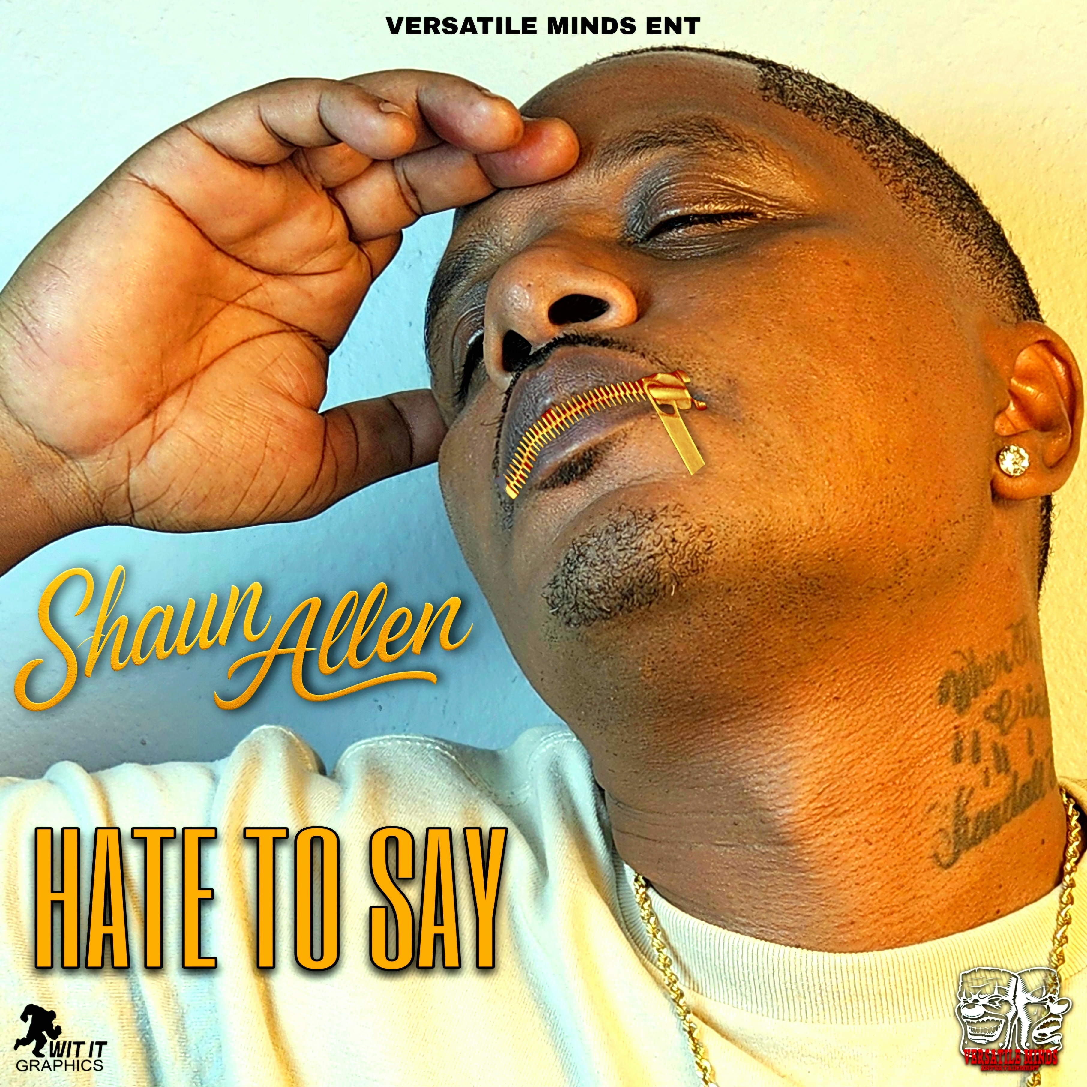 HATE TO SAY artwork
