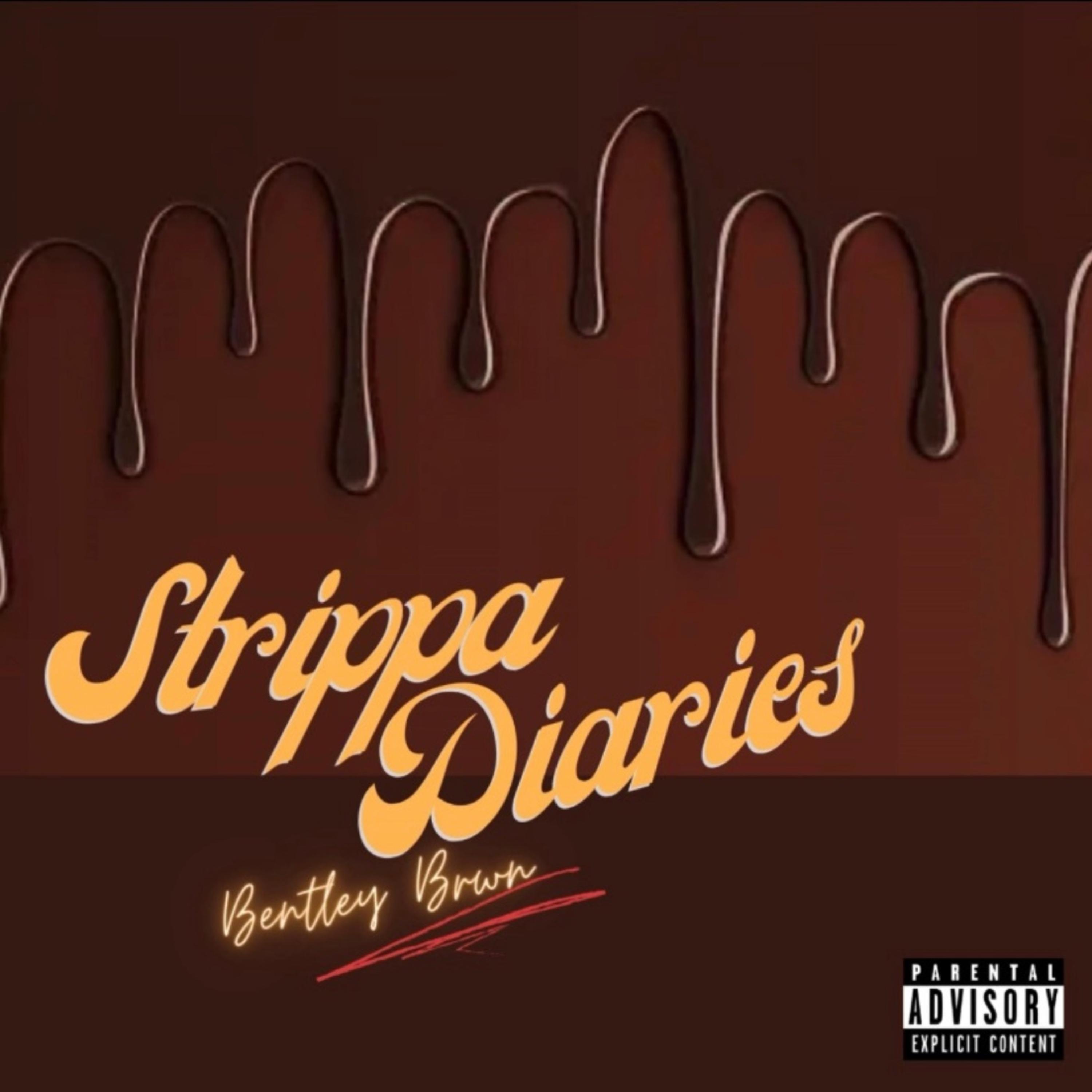 Strippa Diaries artwork