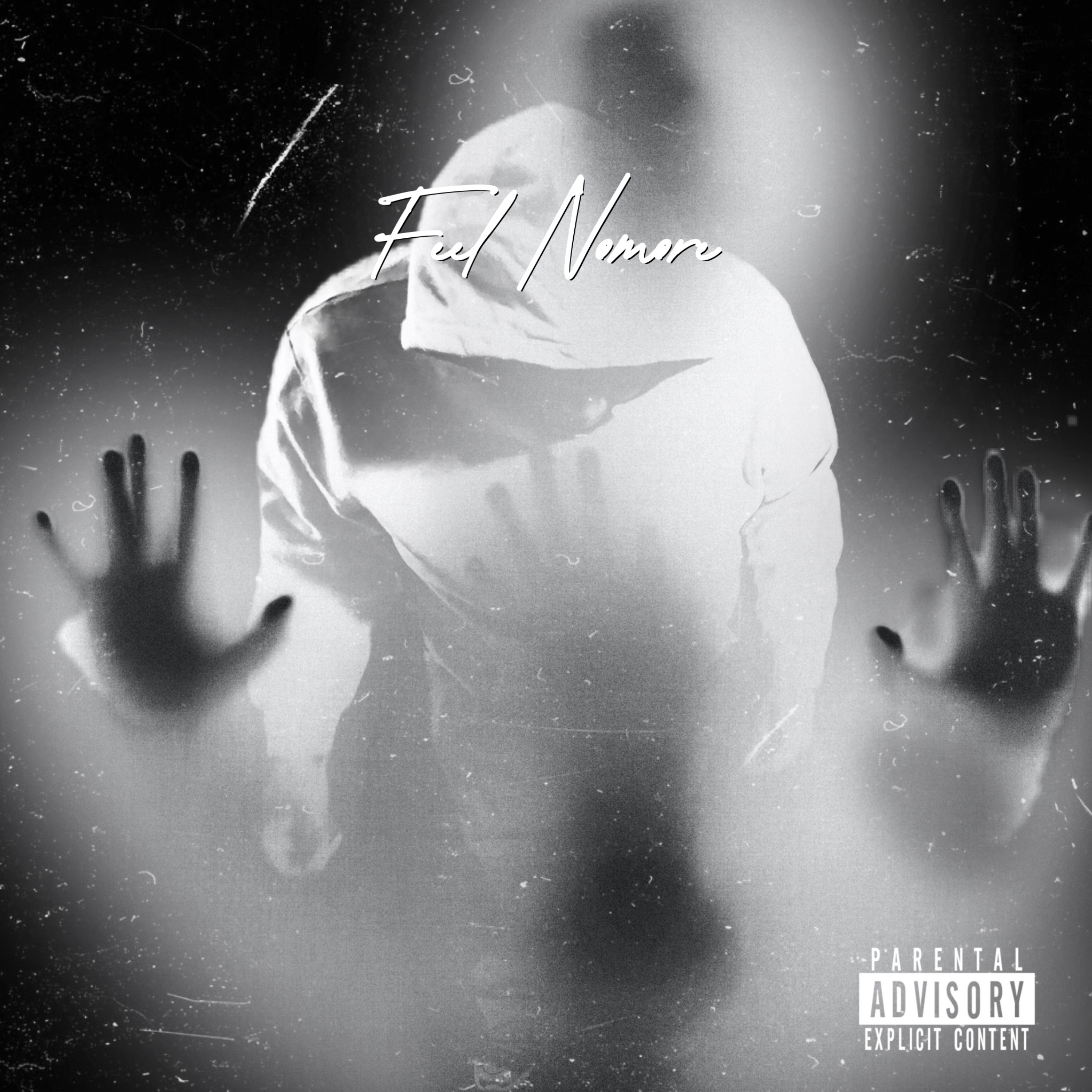 Feel Nomore artwork
