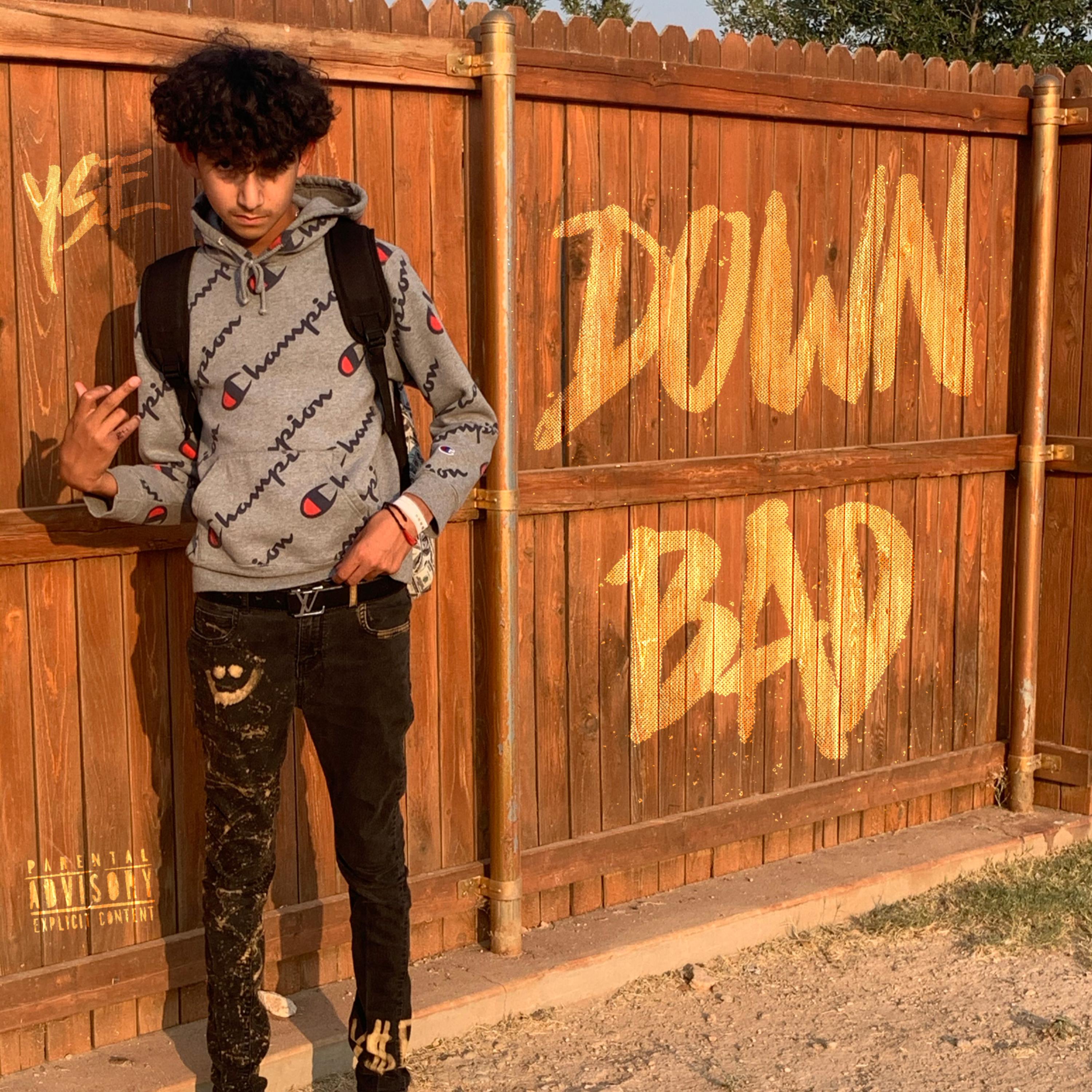 Down Bad artwork