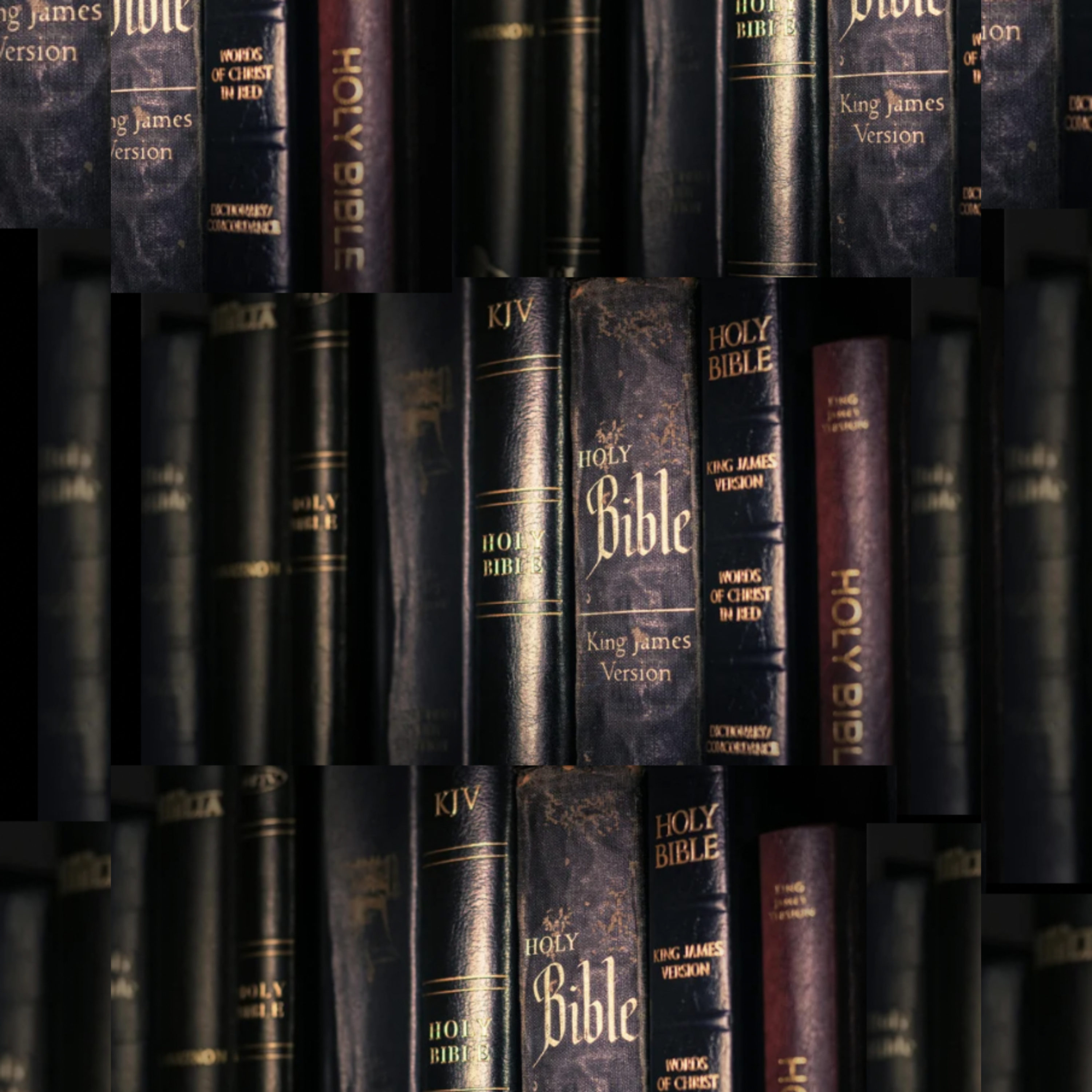 One Thousand Bibles by Echelon Buck cover art