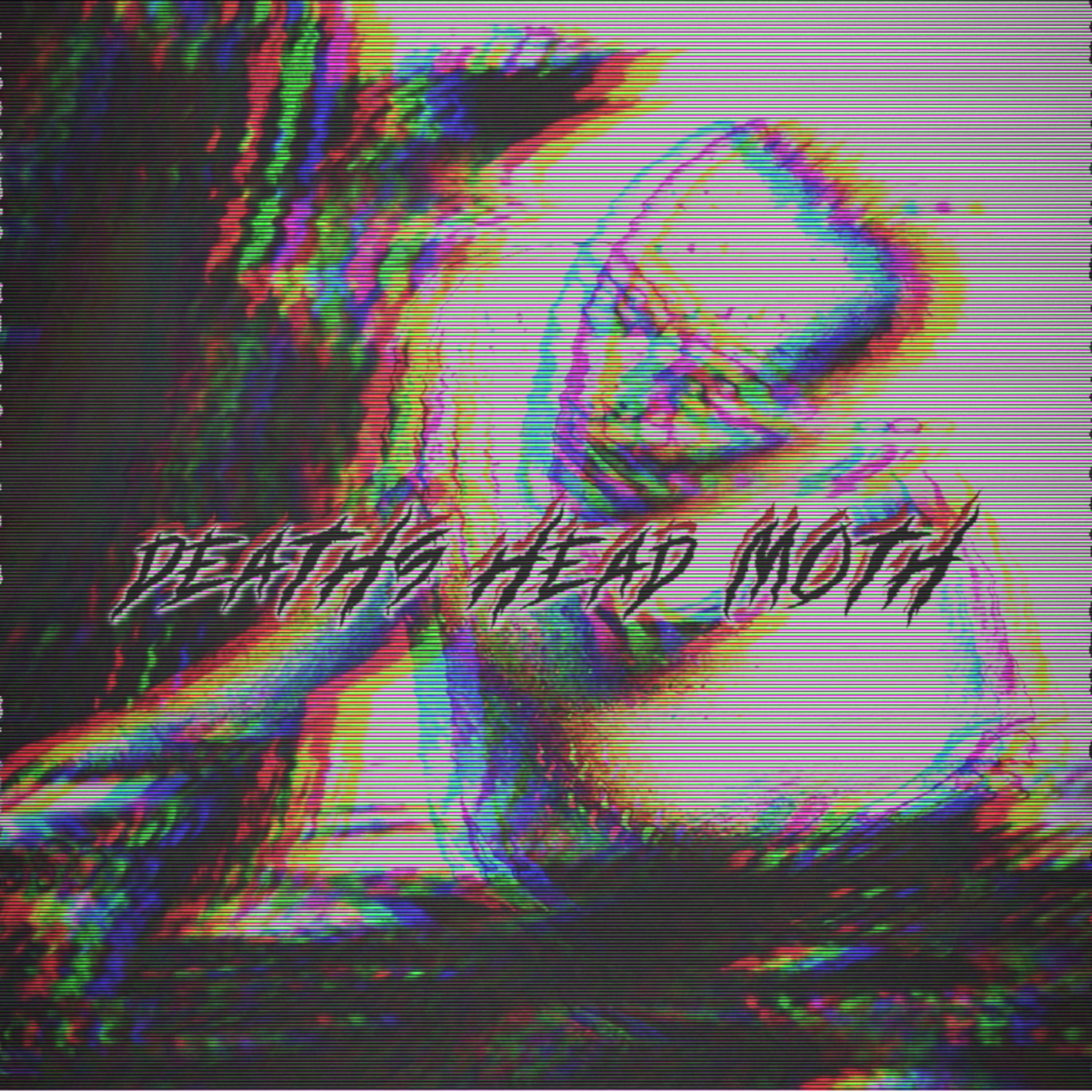 DEATH'S HEAD MOTH artwork