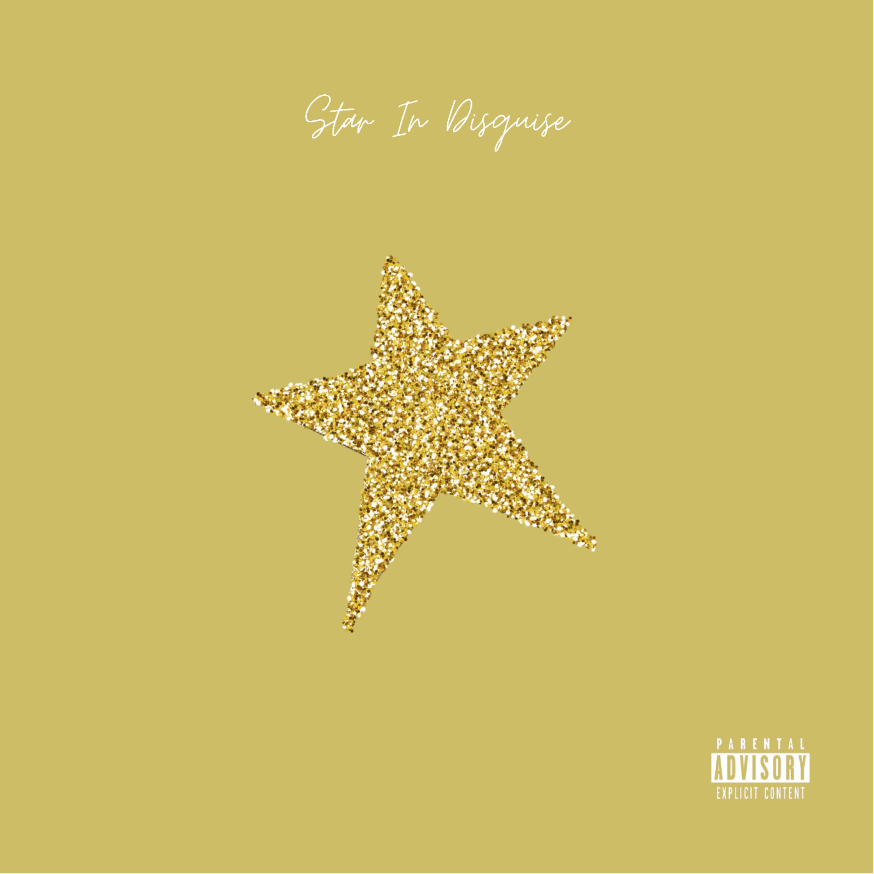 Star In Disguise artwork