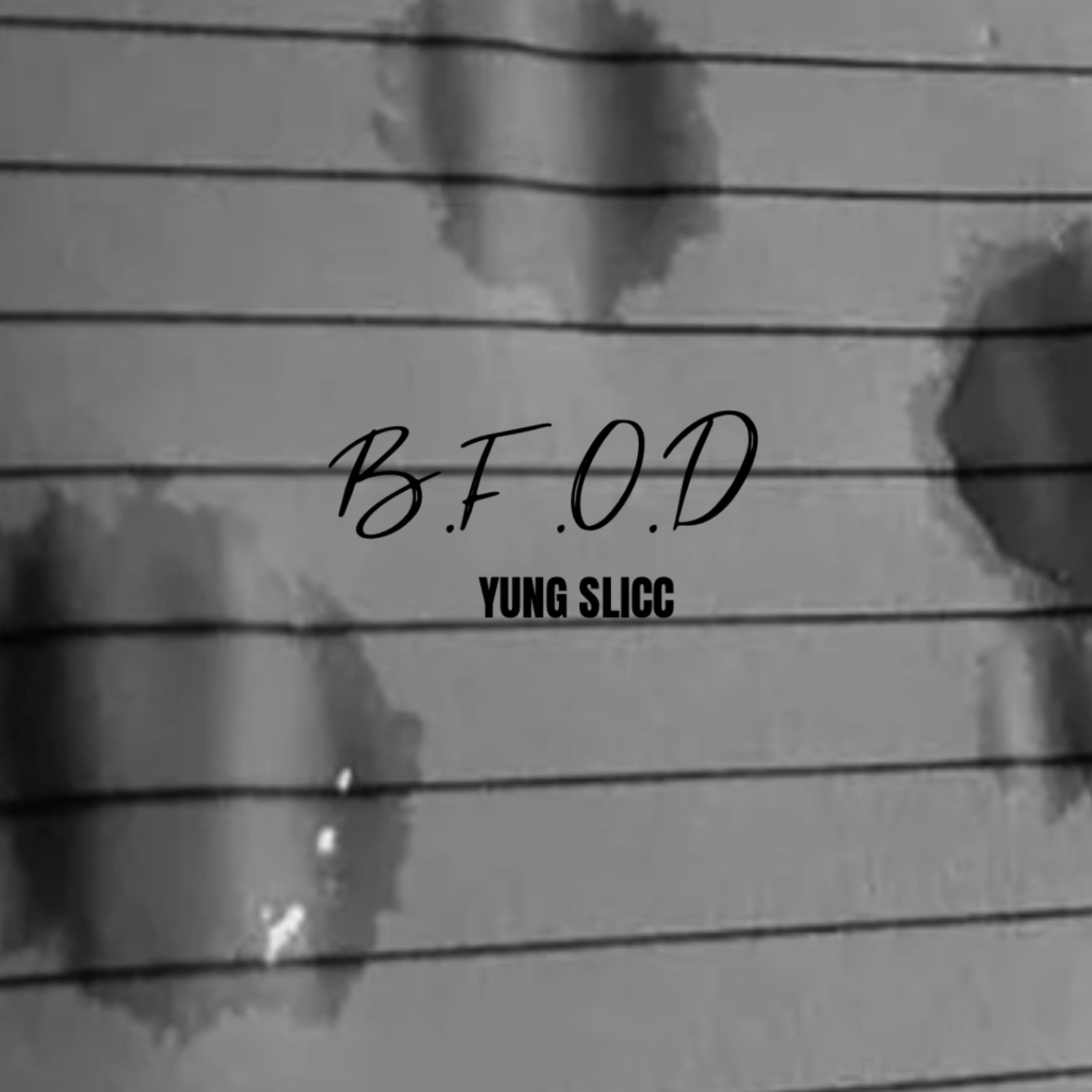 B.F.O.D artwork