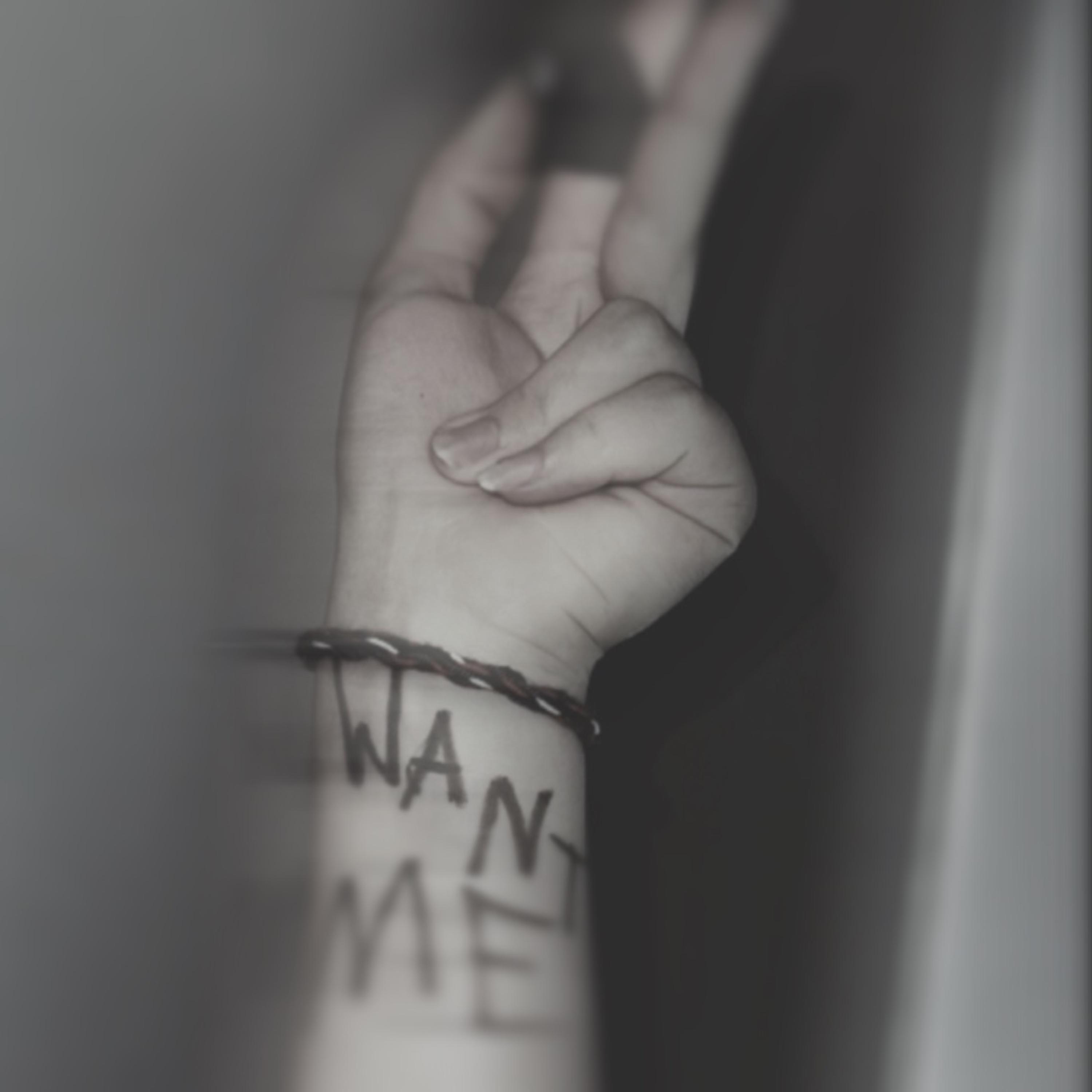 Want Me by Evelyn Norton cover art
