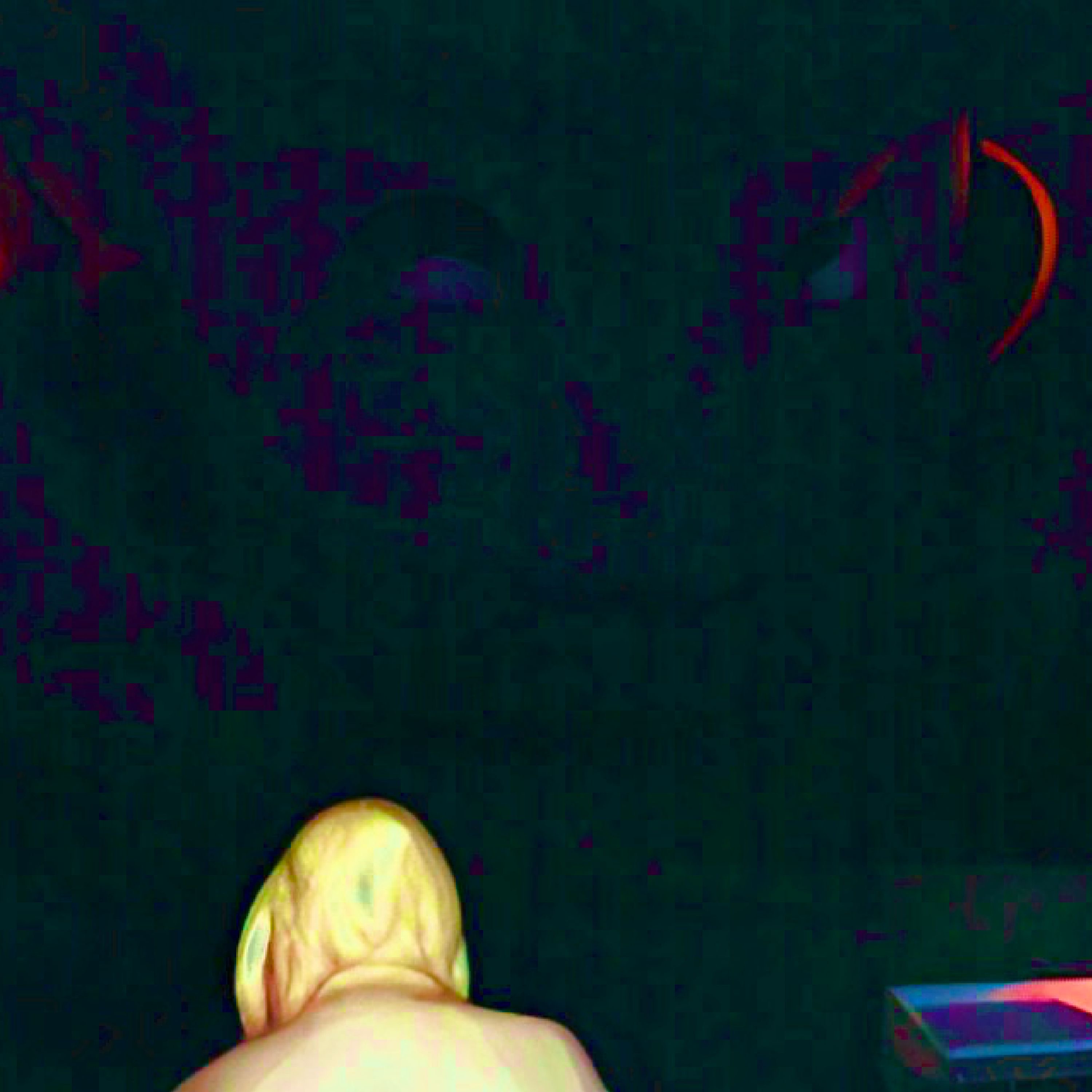 Sample Master 2 artwork