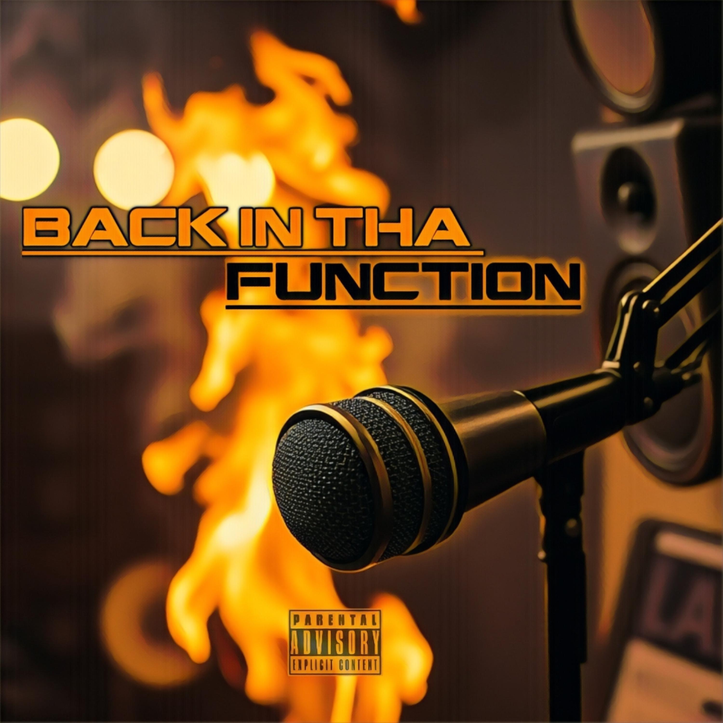 Back In Tha Function artwork
