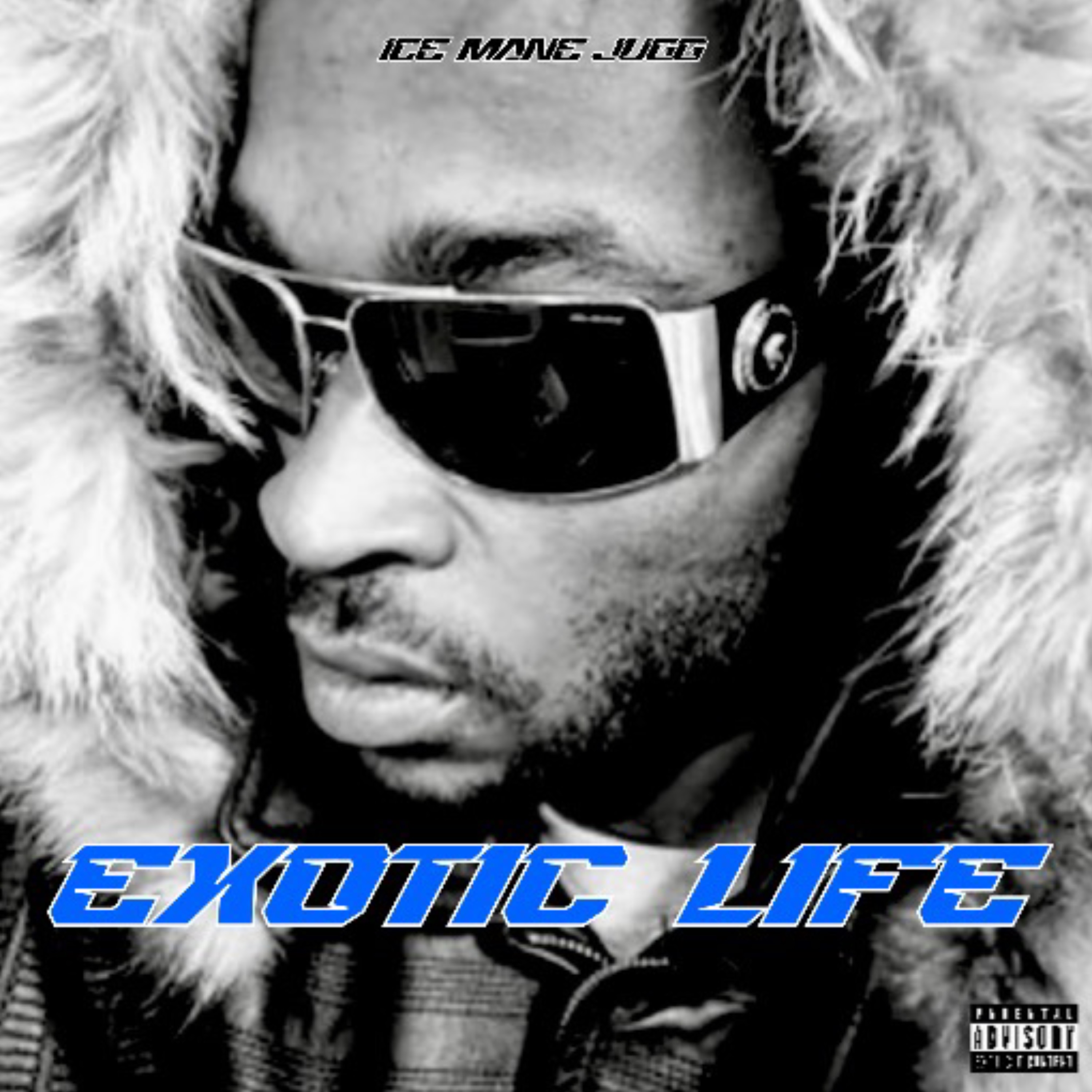 Exotic Life artwork