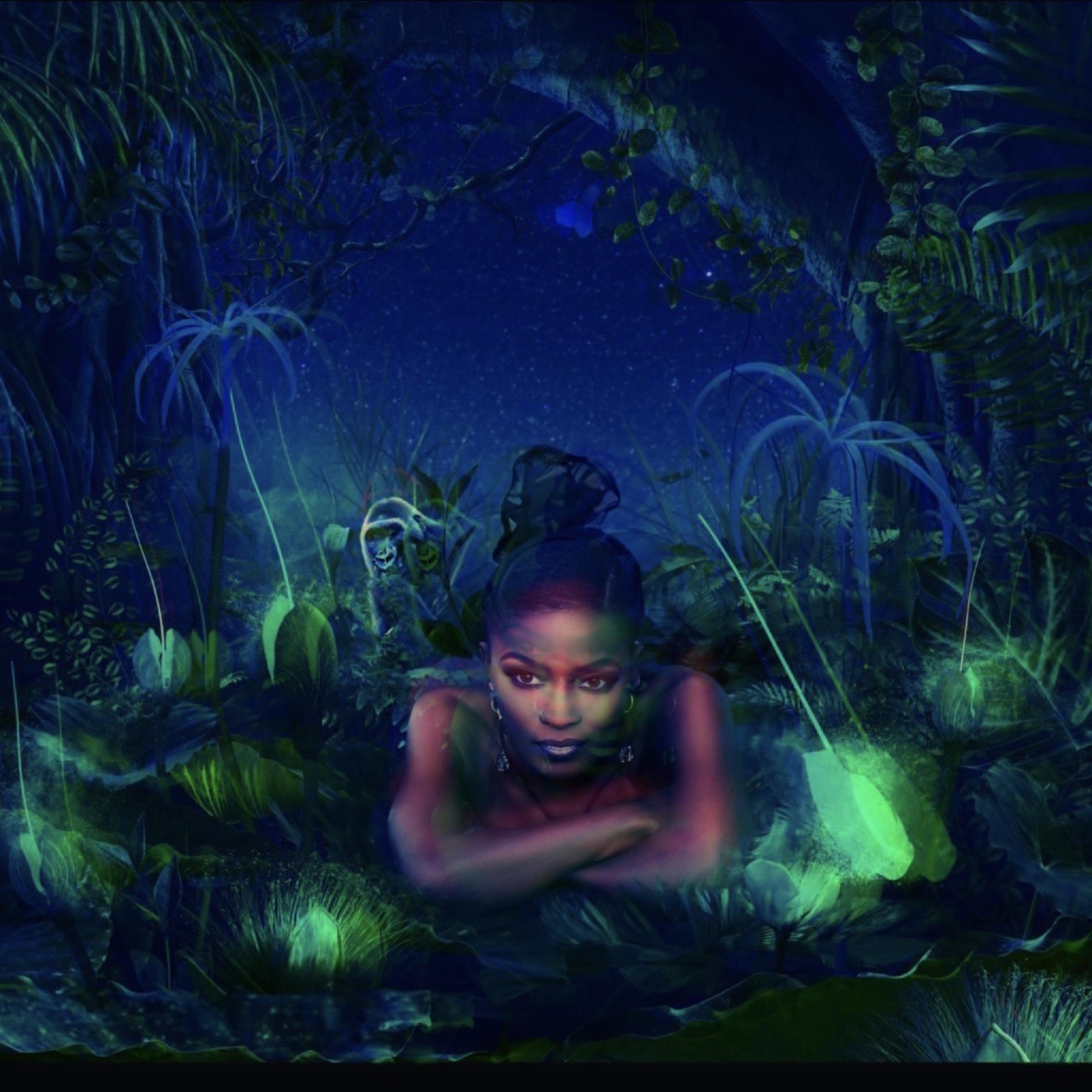 In The Jungle artwork