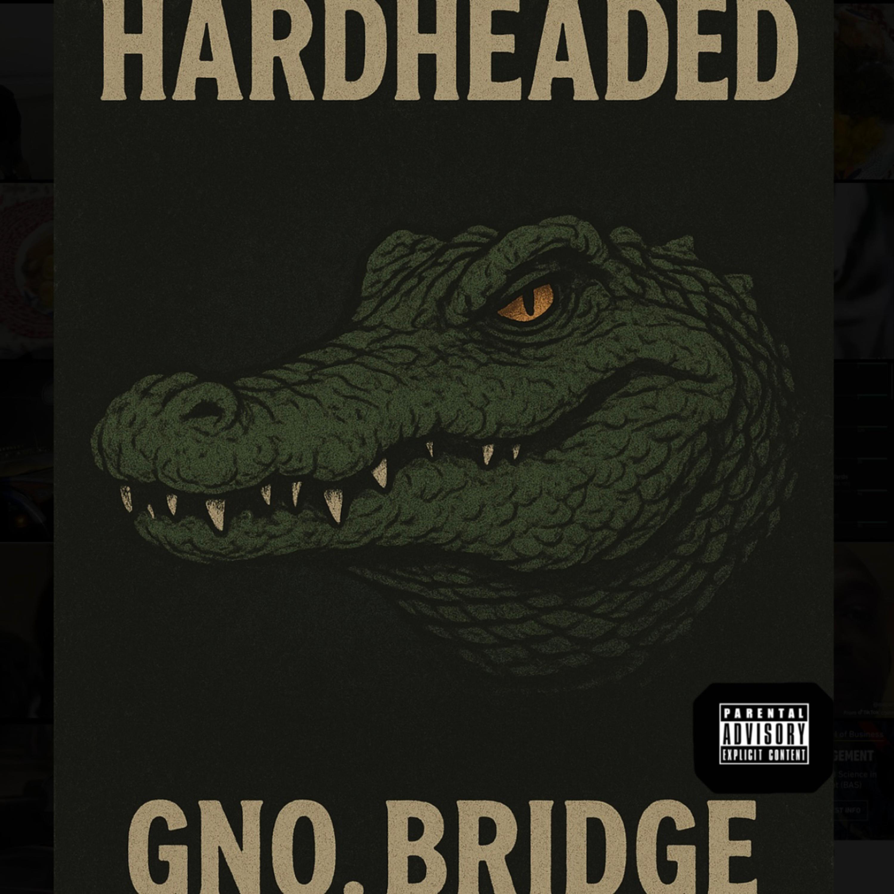 Hardheaded artwork