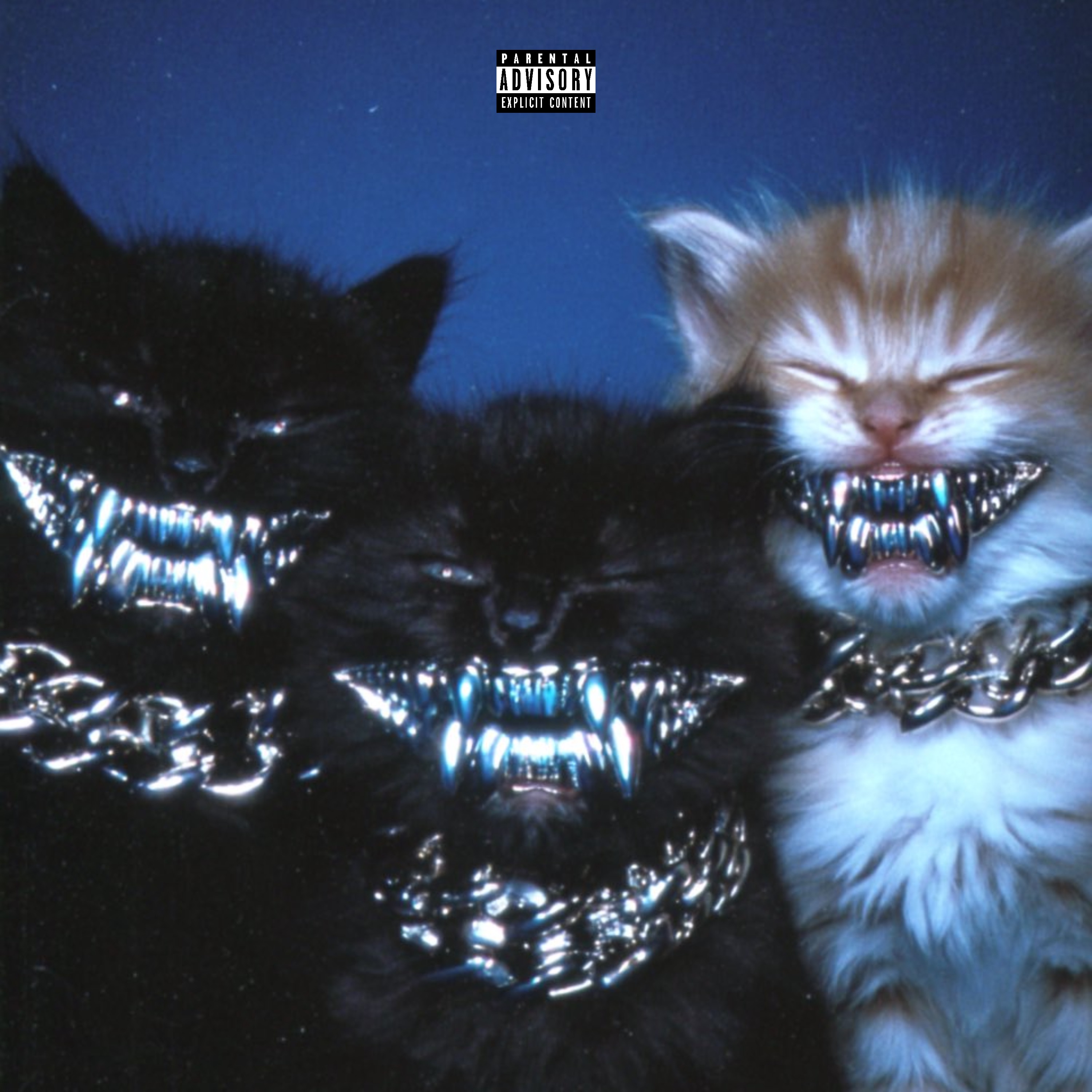 Pu$$ii artwork