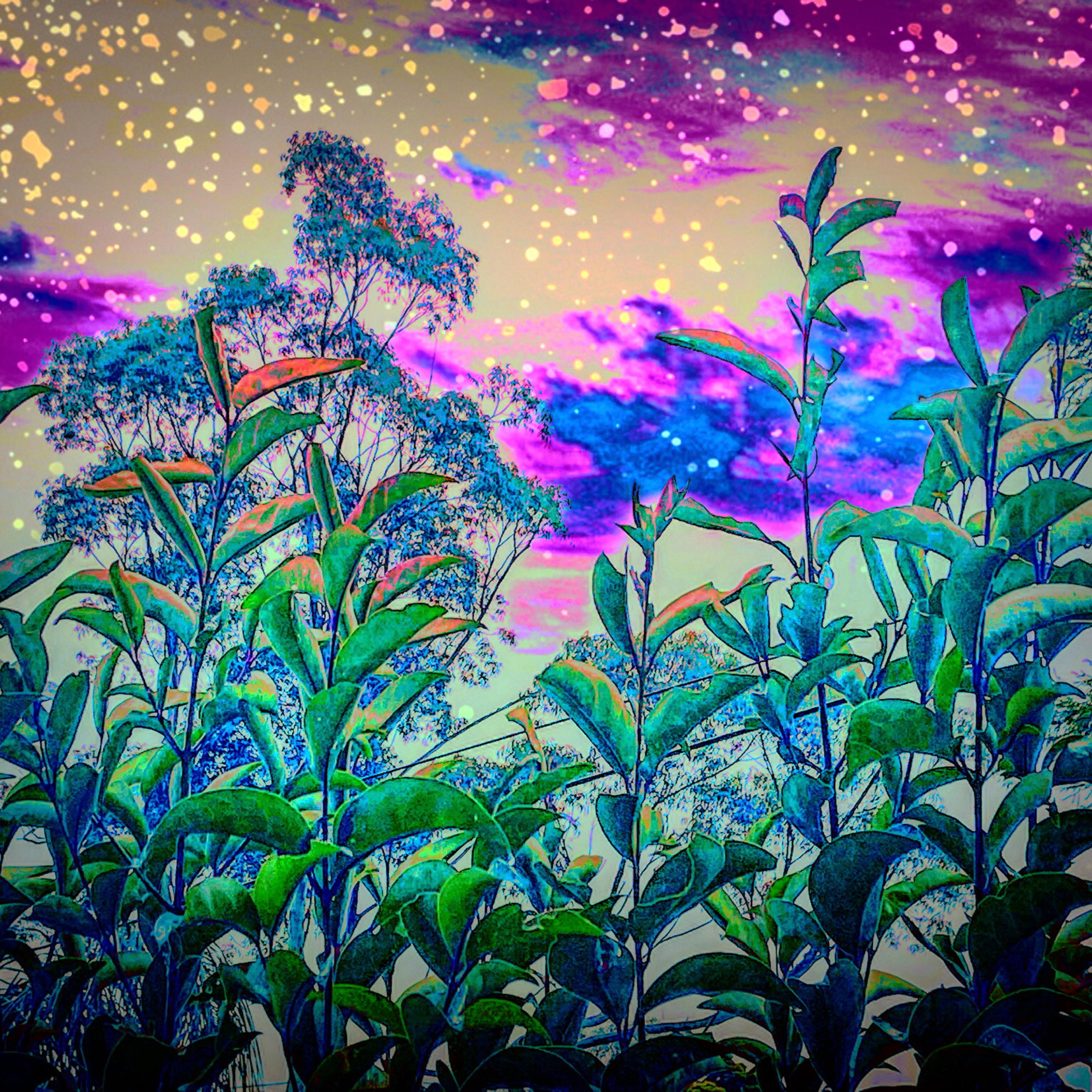 I had a Dream artwork