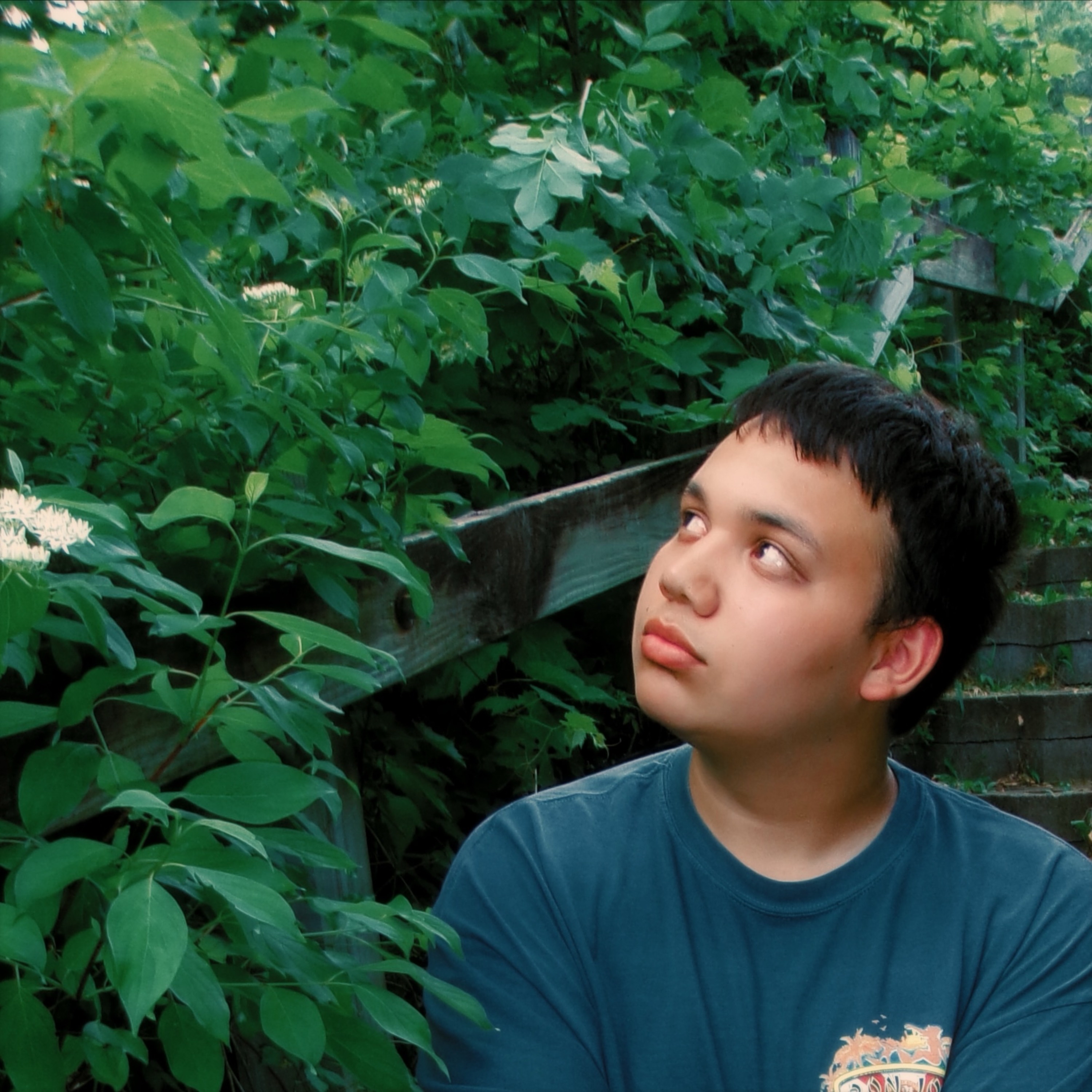 Camouflaged Pearl artwork