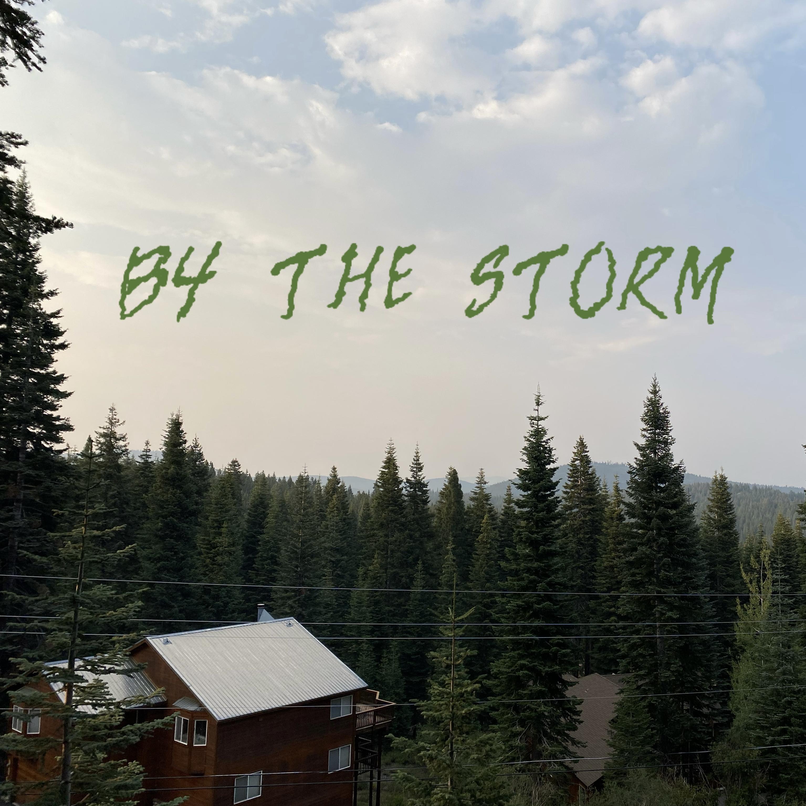 B4 The Storm artwork