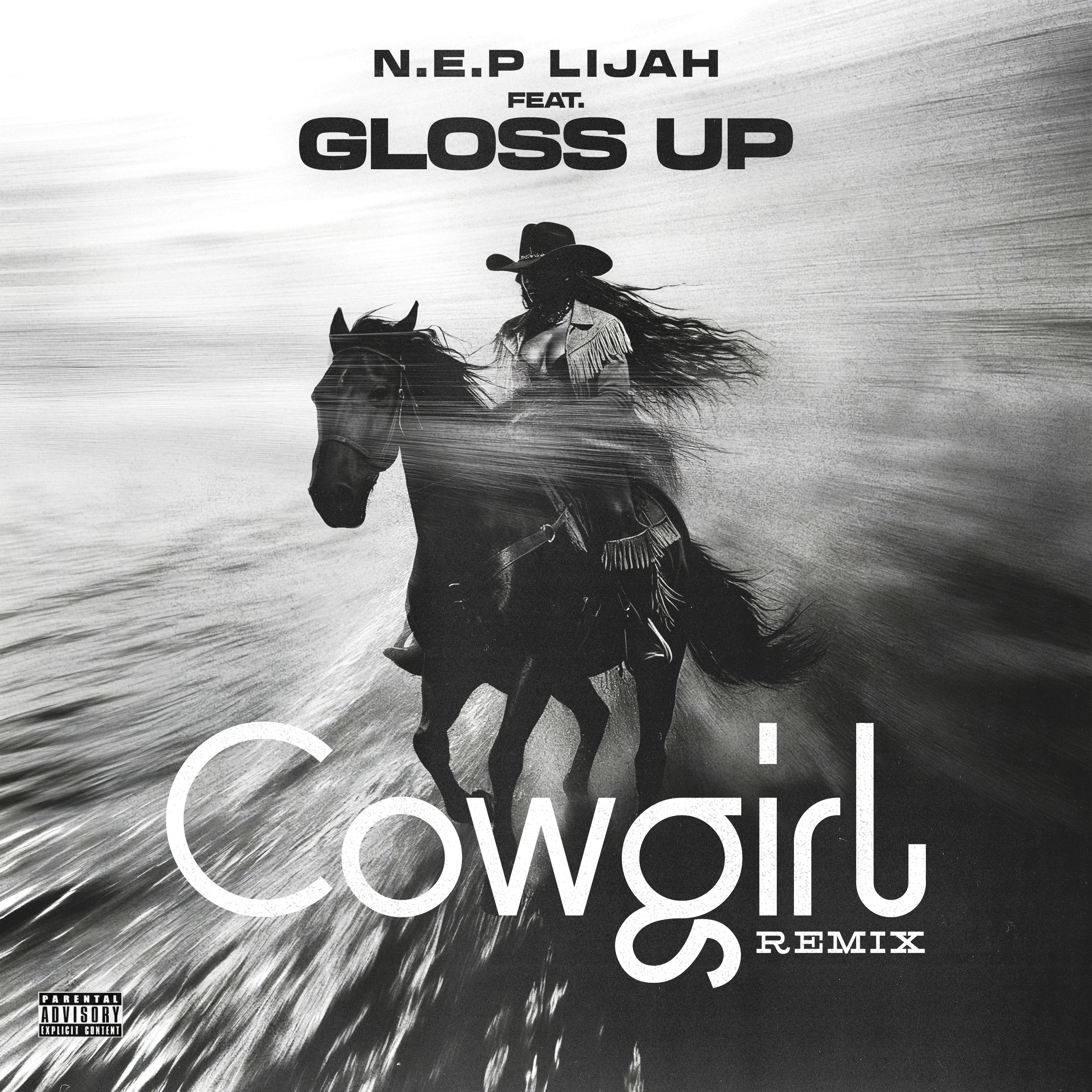 Cowgirl (Remix) artwork