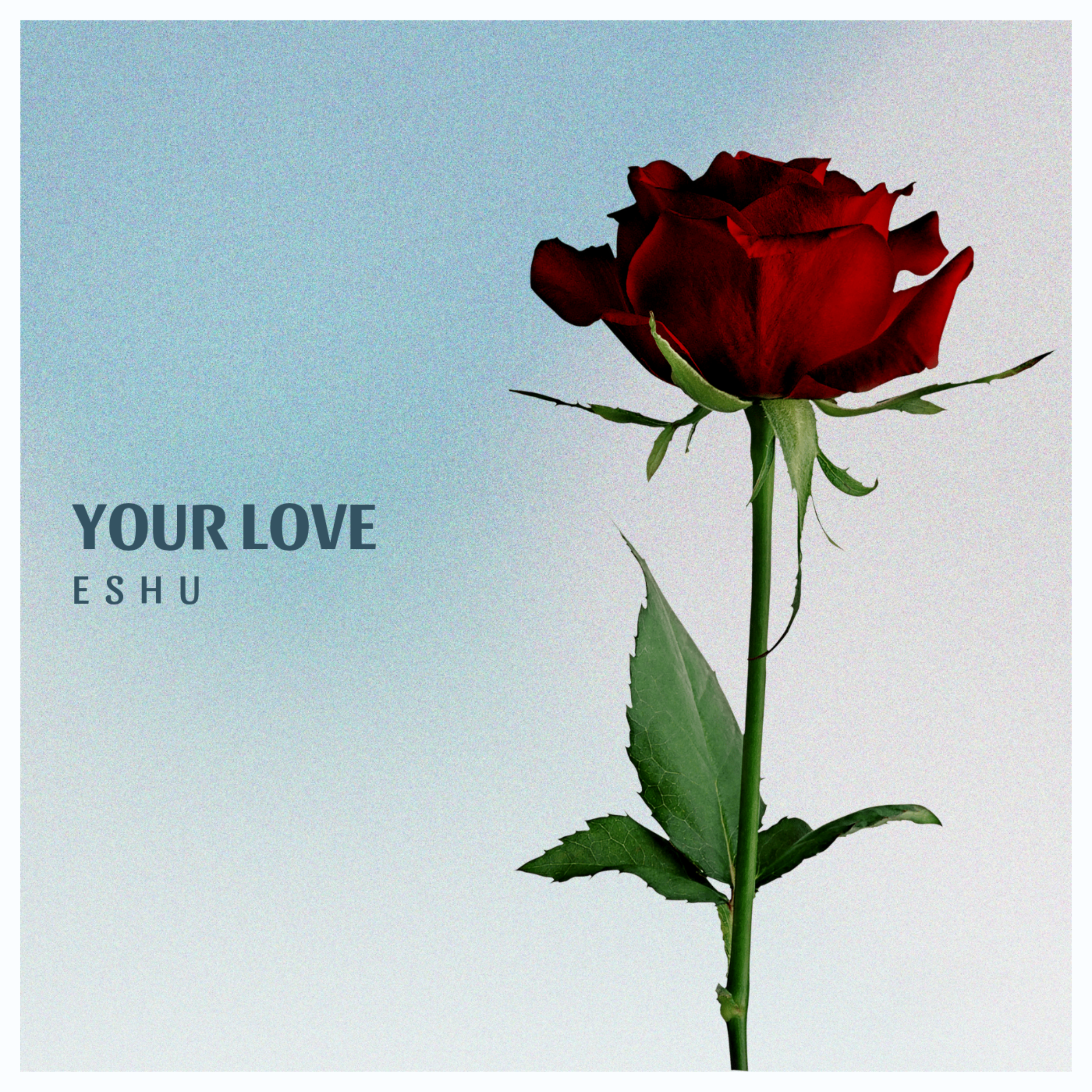 Your Love artwork