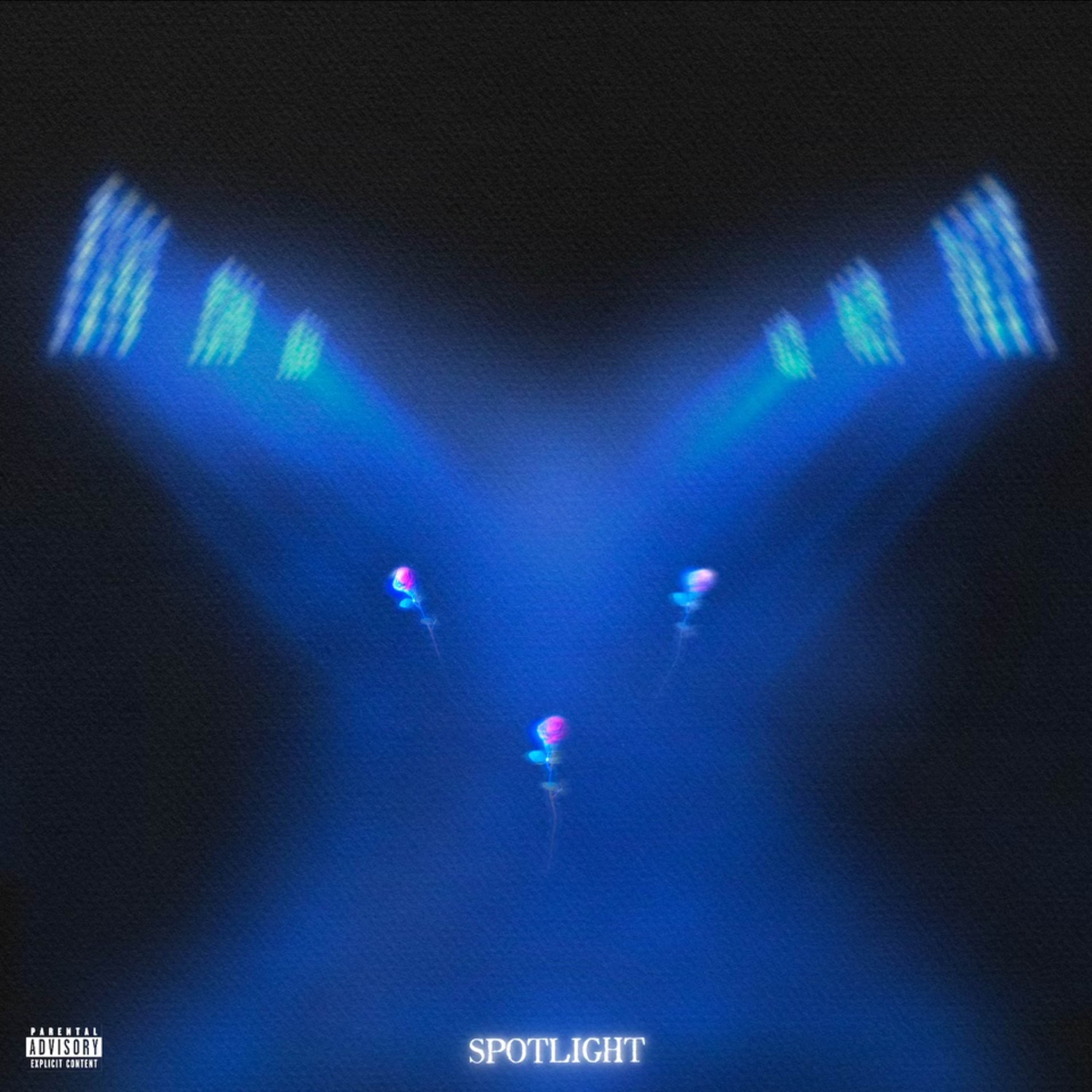 Spotlight artwork