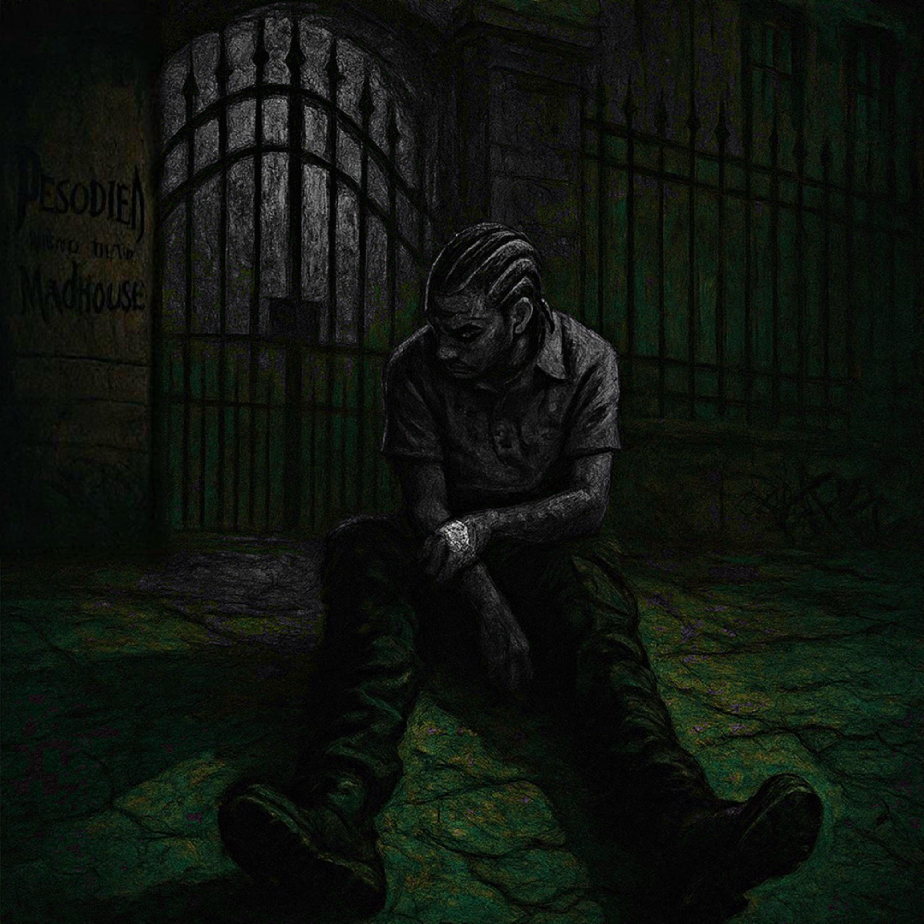welcome to the madhouse artwork