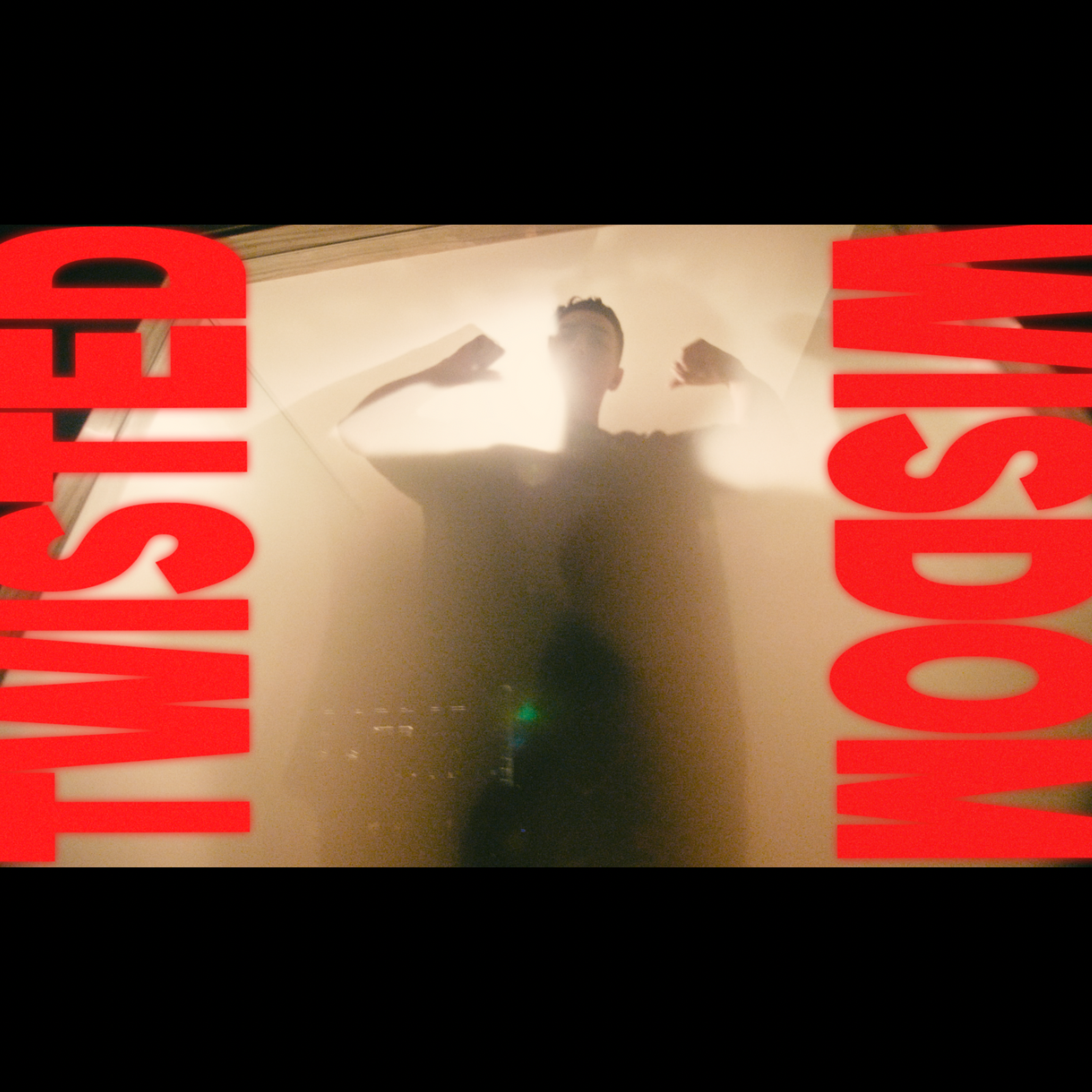 Twisted Wisdom artwork