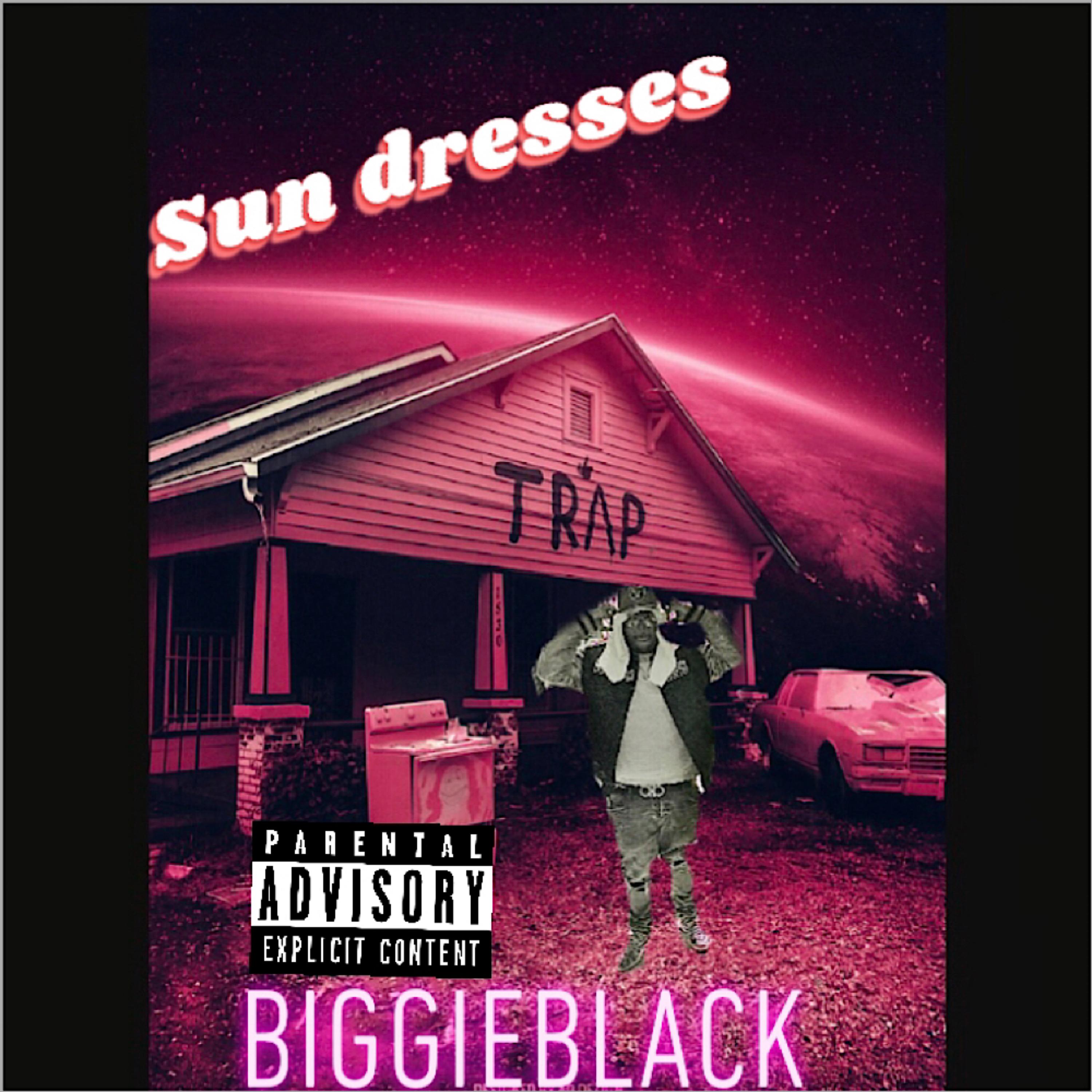Sun Dresses by Biggieblack cover art
