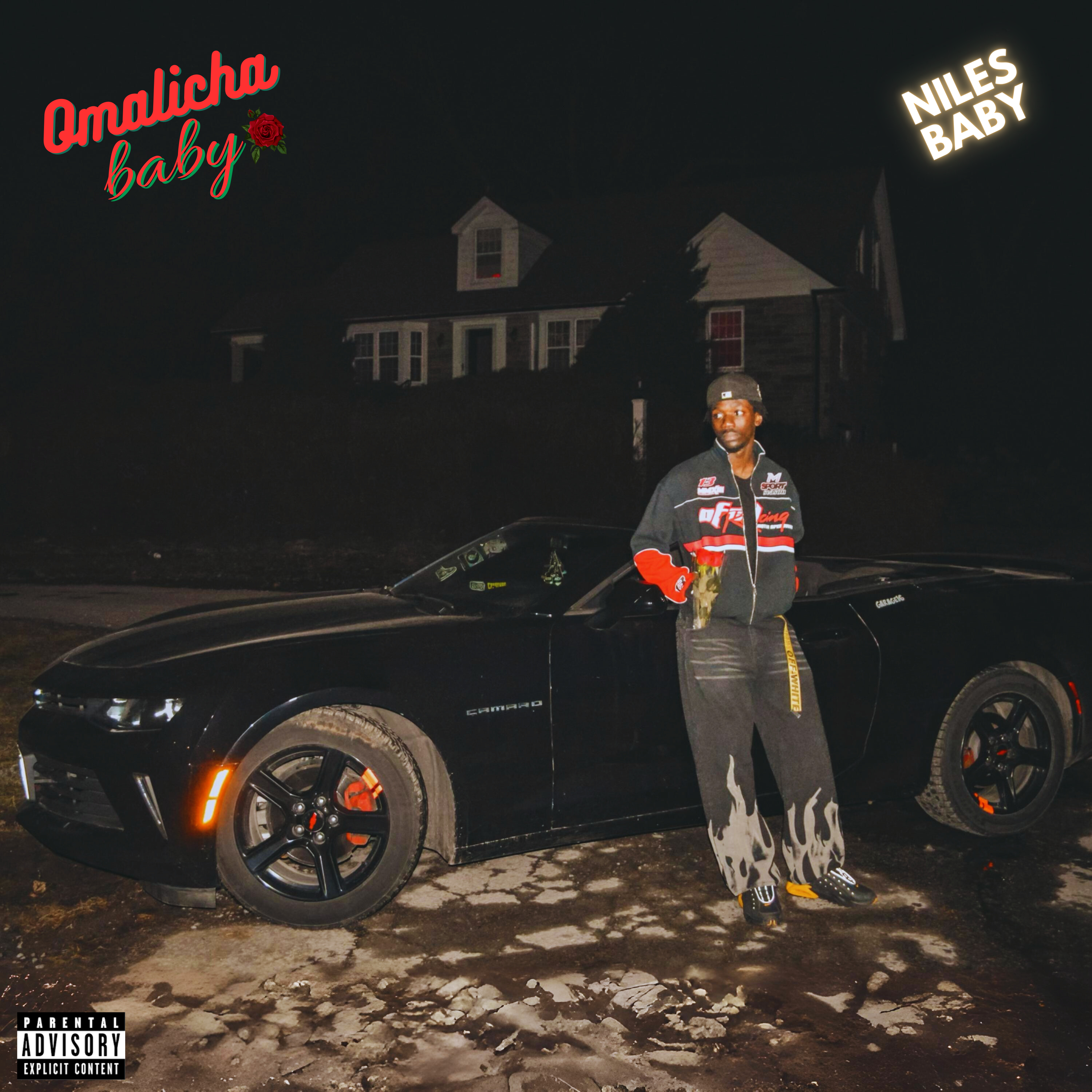 OmaLiCha BabY artwork