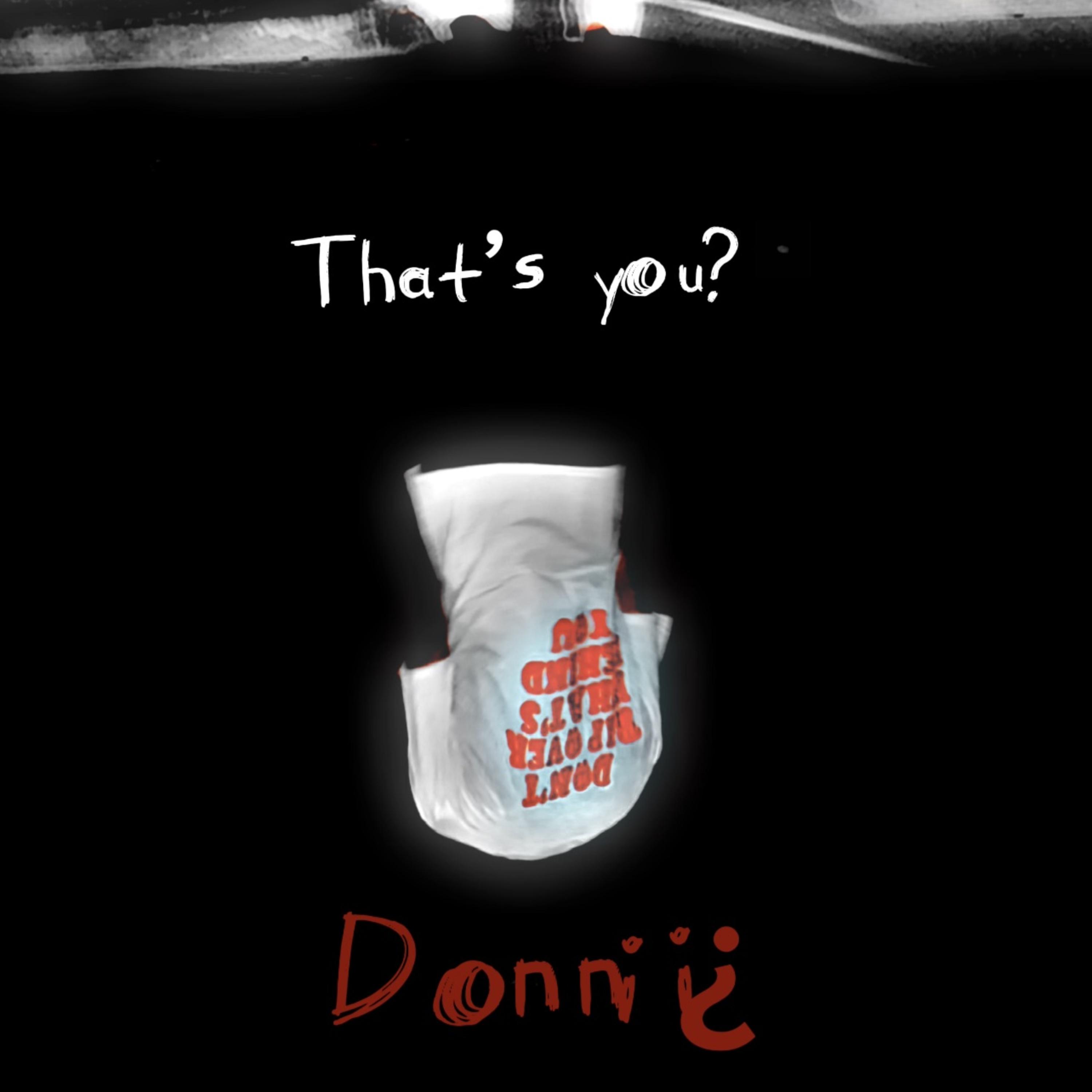 That’s You? Donnii¿ by AyooDonnii cover art