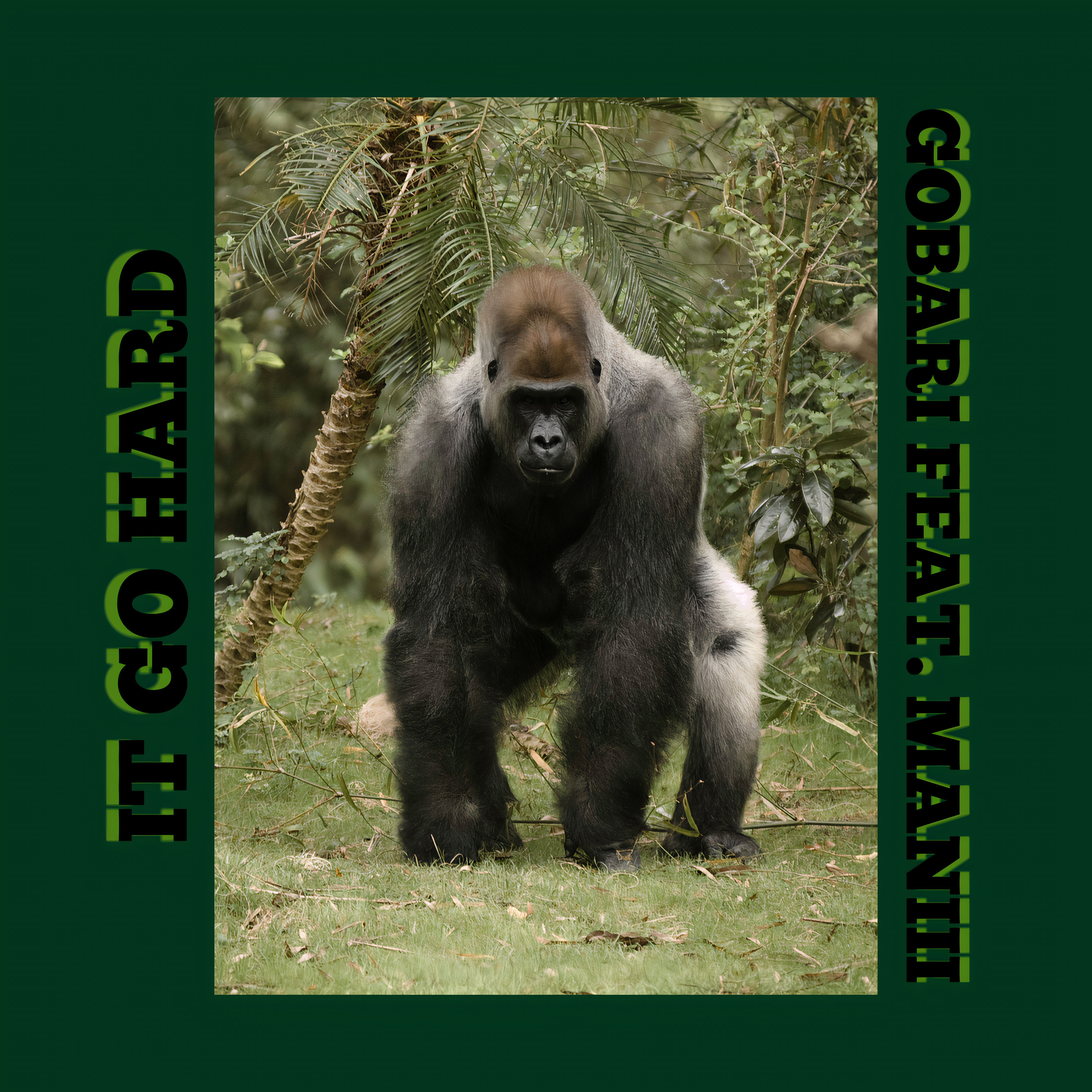It Go Hard artwork